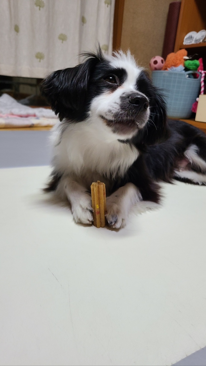 레오(포네) 인사드립니다. (after 3 months)