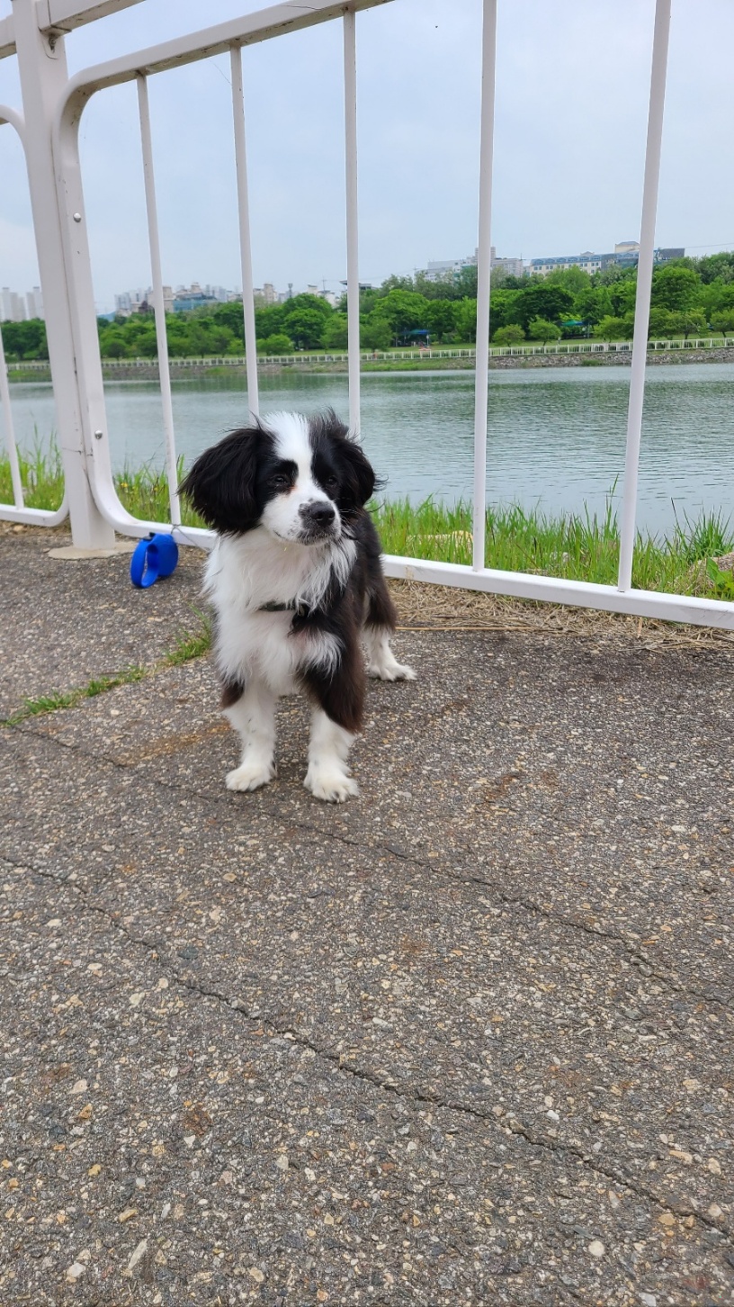 레오(포네) 인사드립니다. (after 3 months)