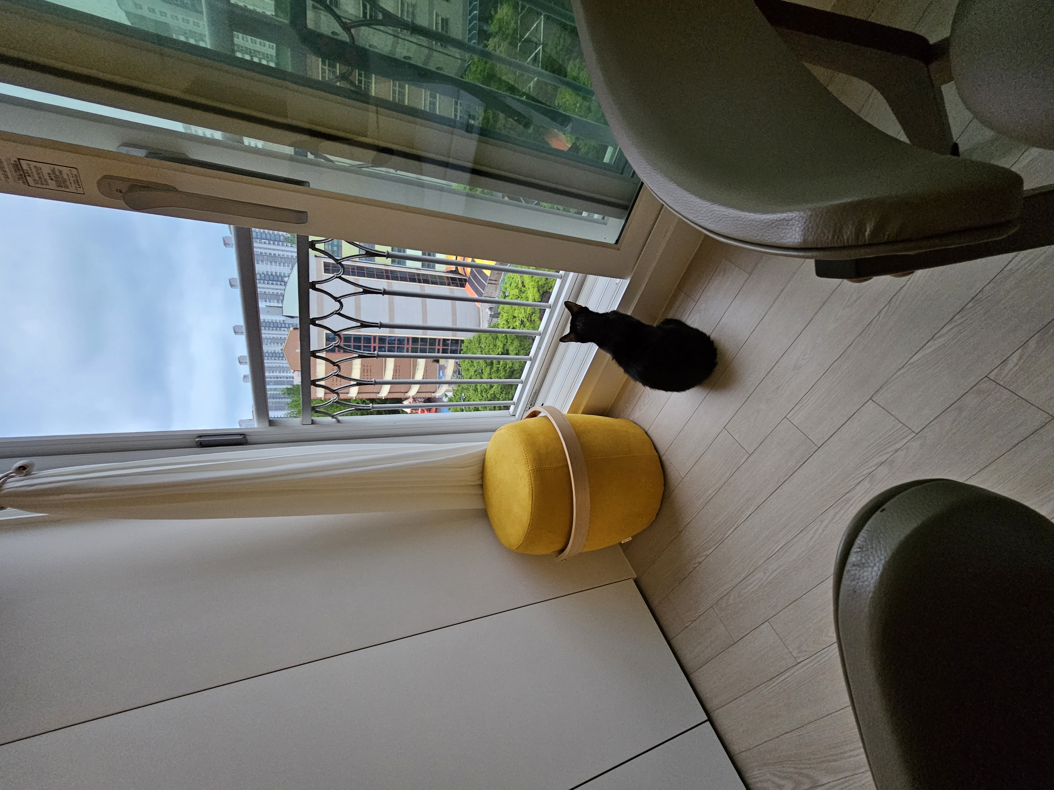 허밍이 입양 3개월차