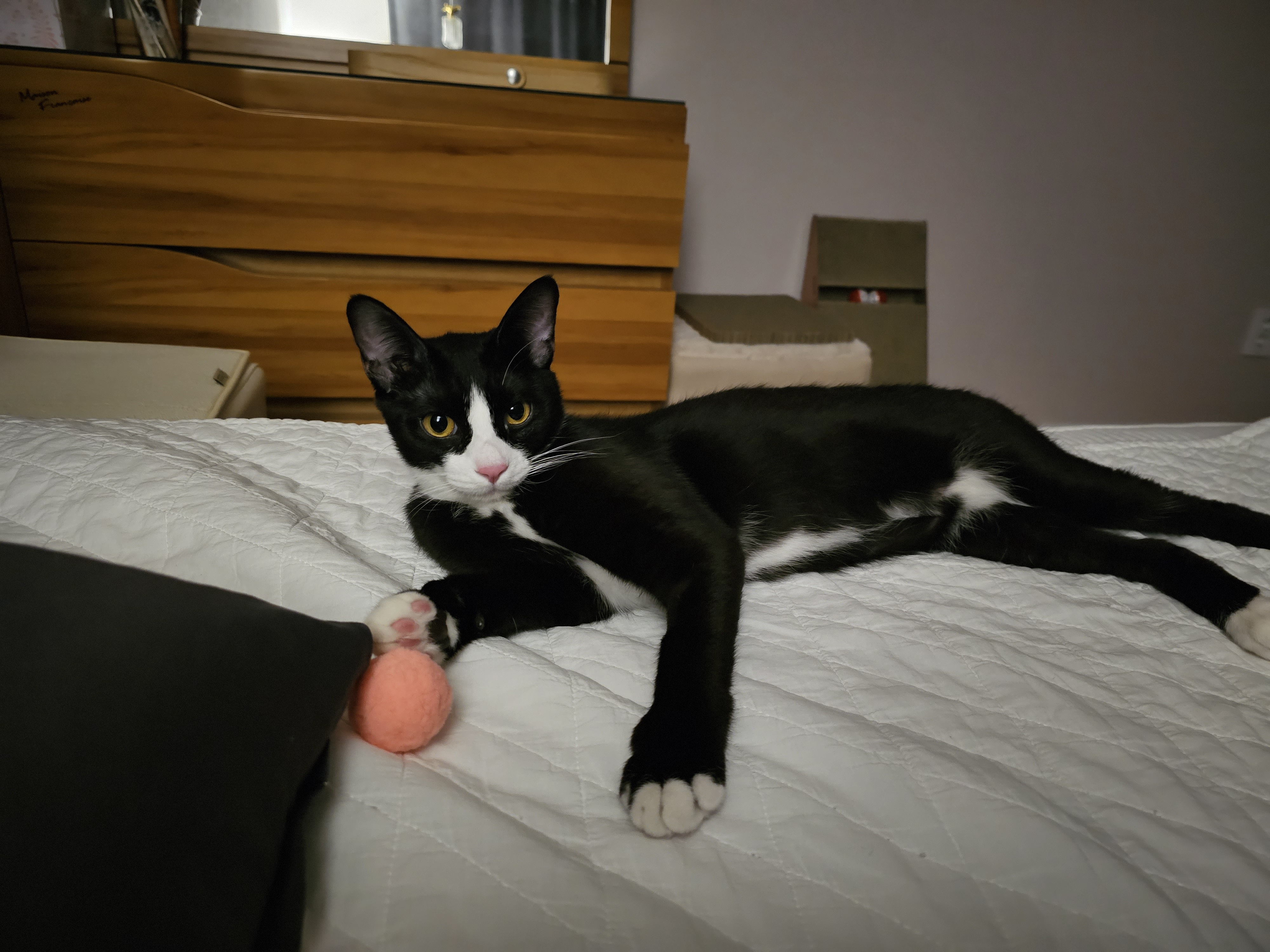 허밍이 입양 3개월차