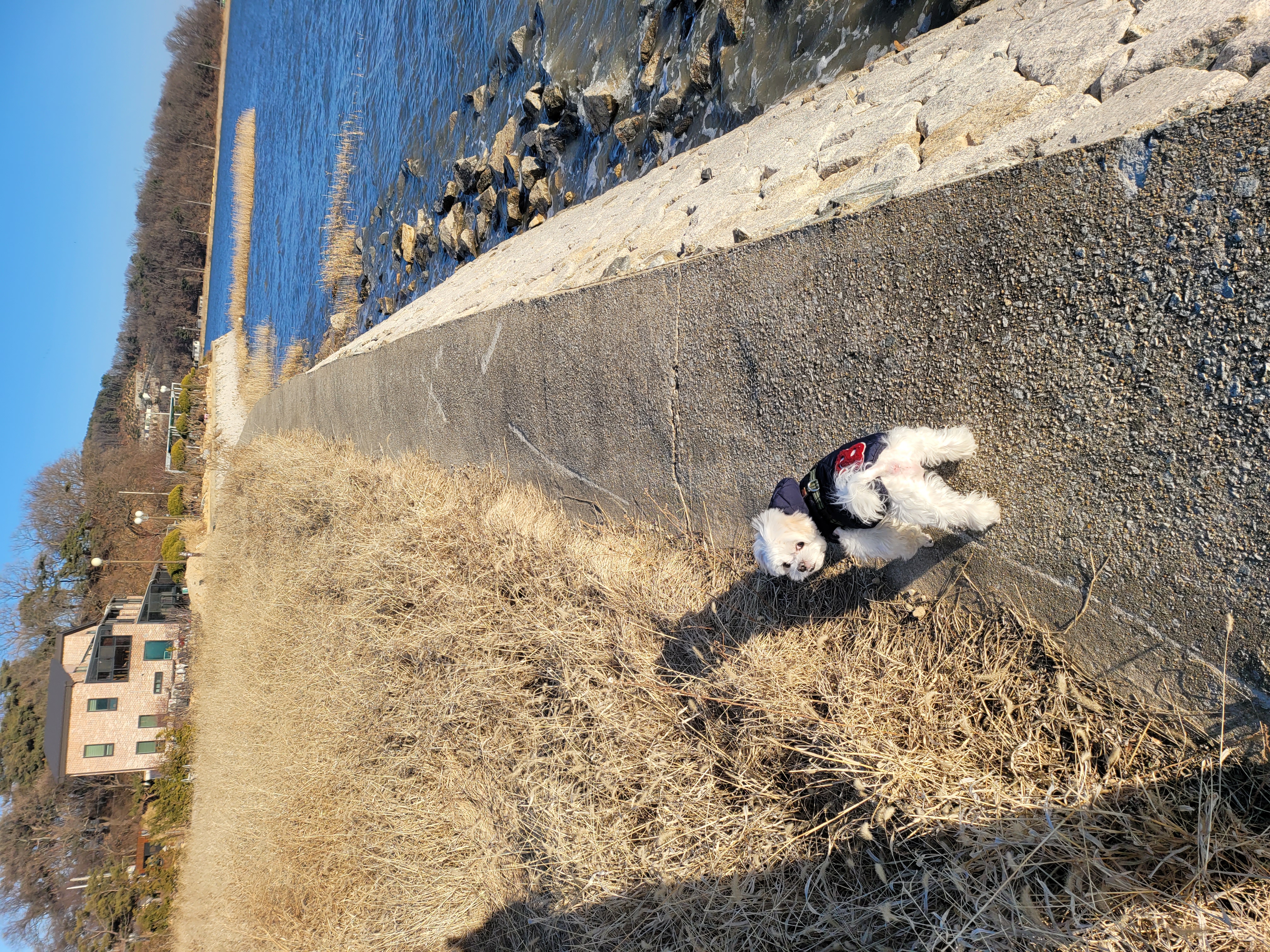 길동이 입양 2년(곤지암)
