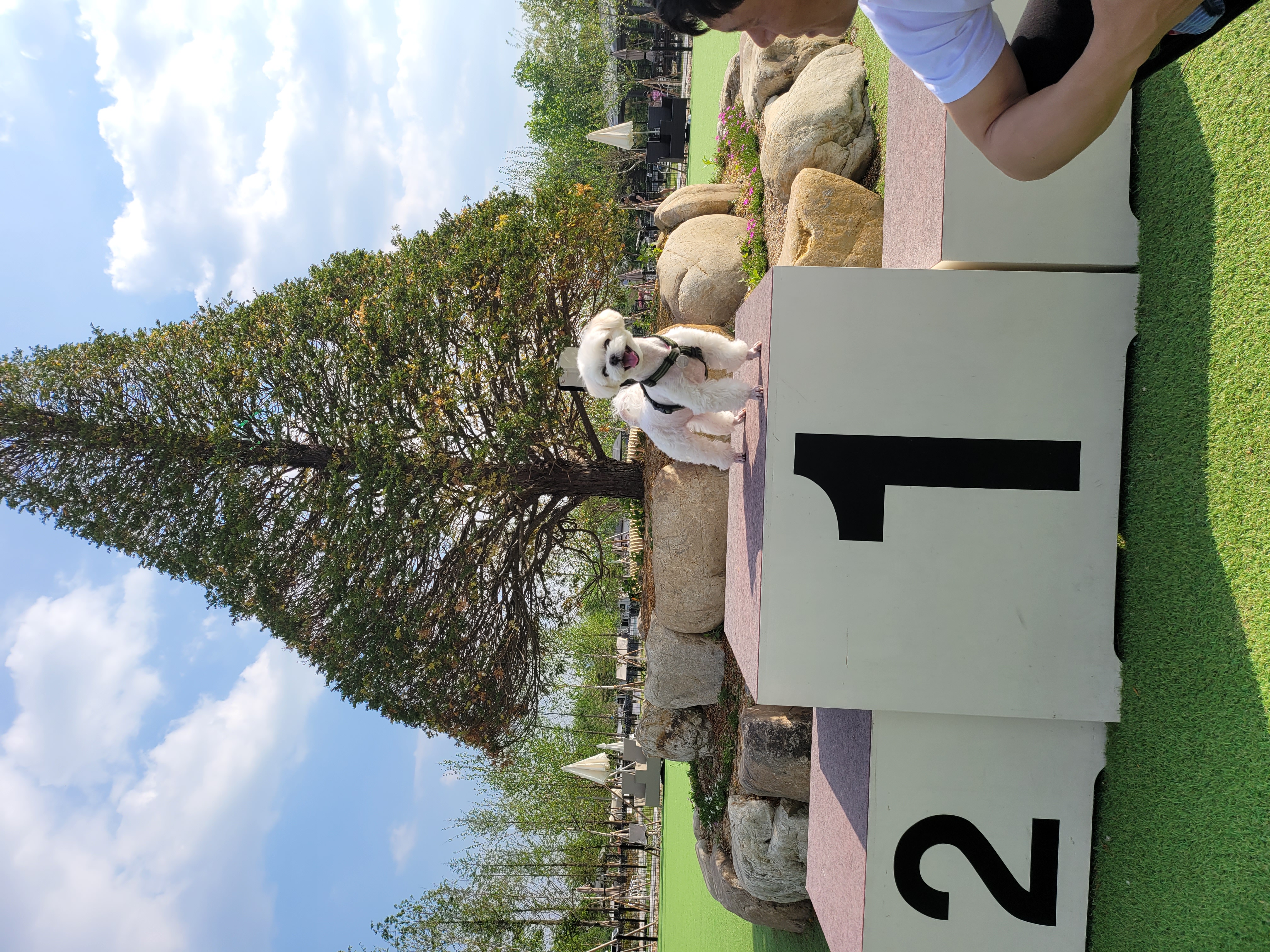 길동이 입양 2년(곤지암)