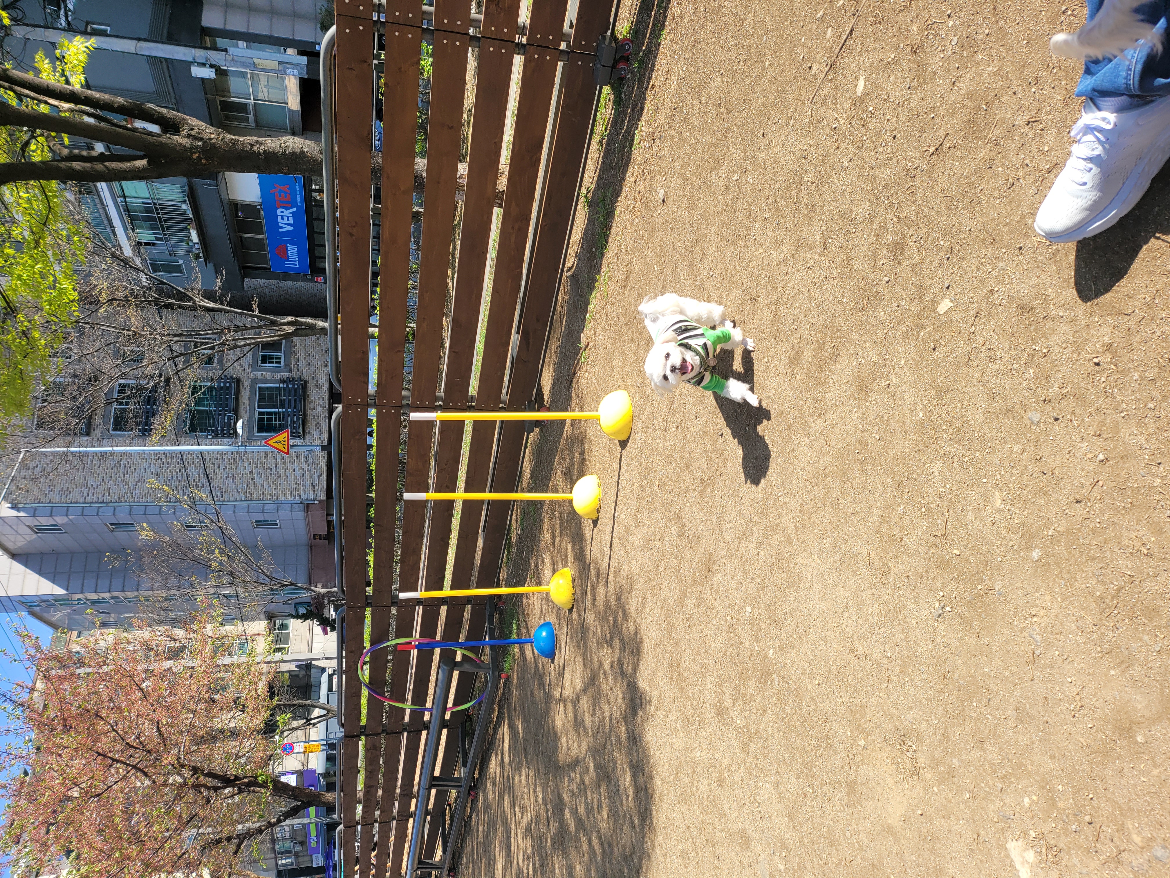 길동이 입양 2년(곤지암)