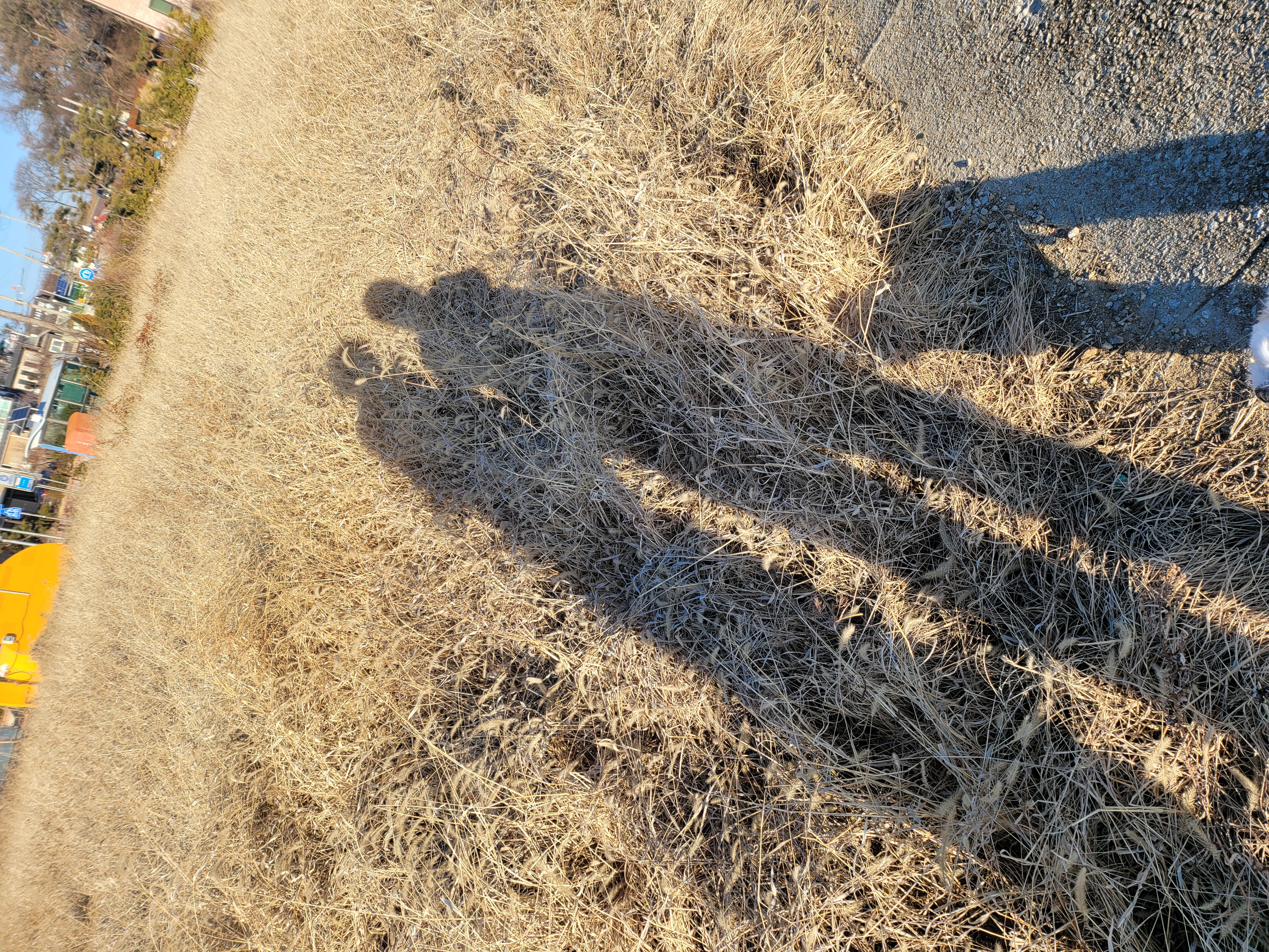 길동이 입양 2년(곤지암)