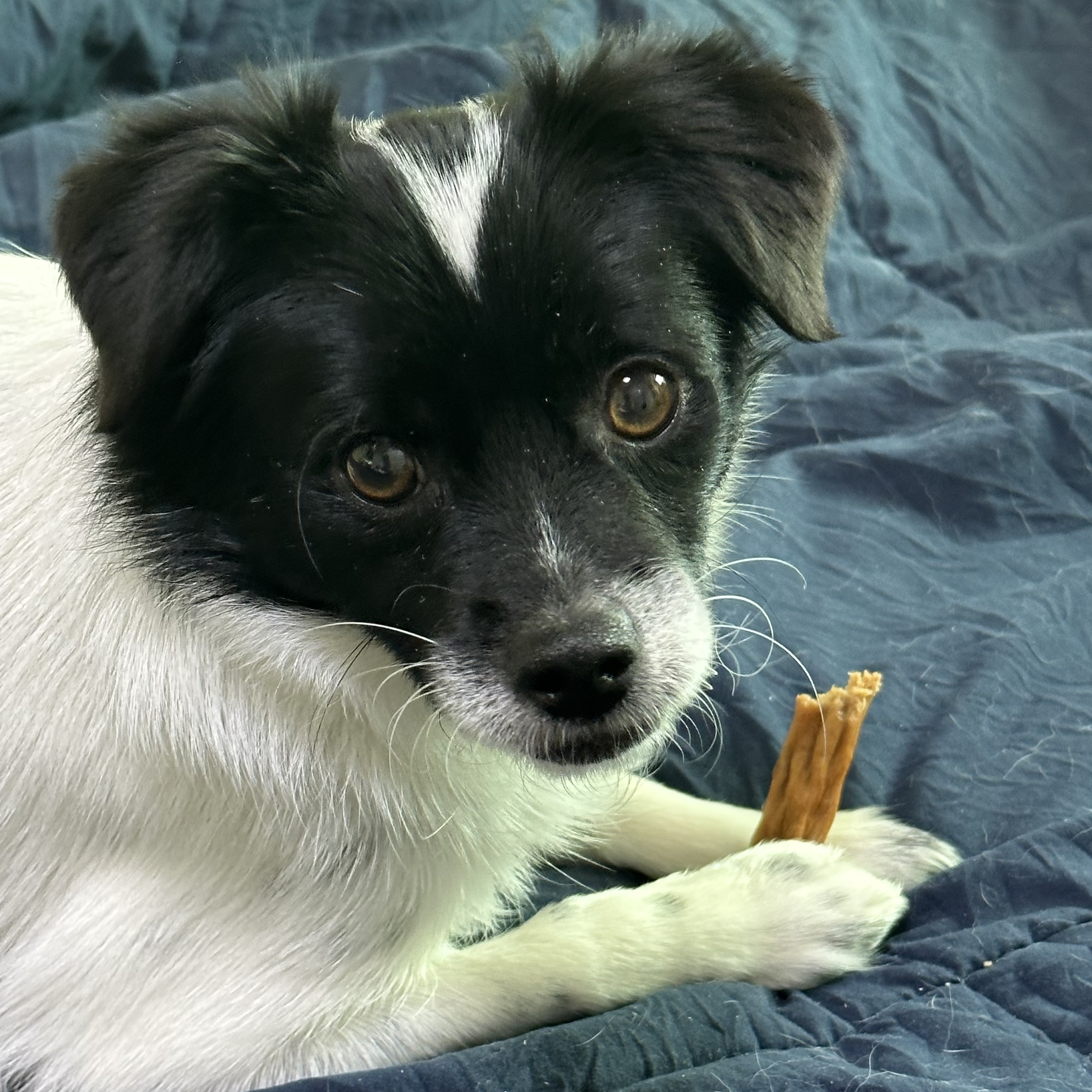 다온이(루루) 3개월 차