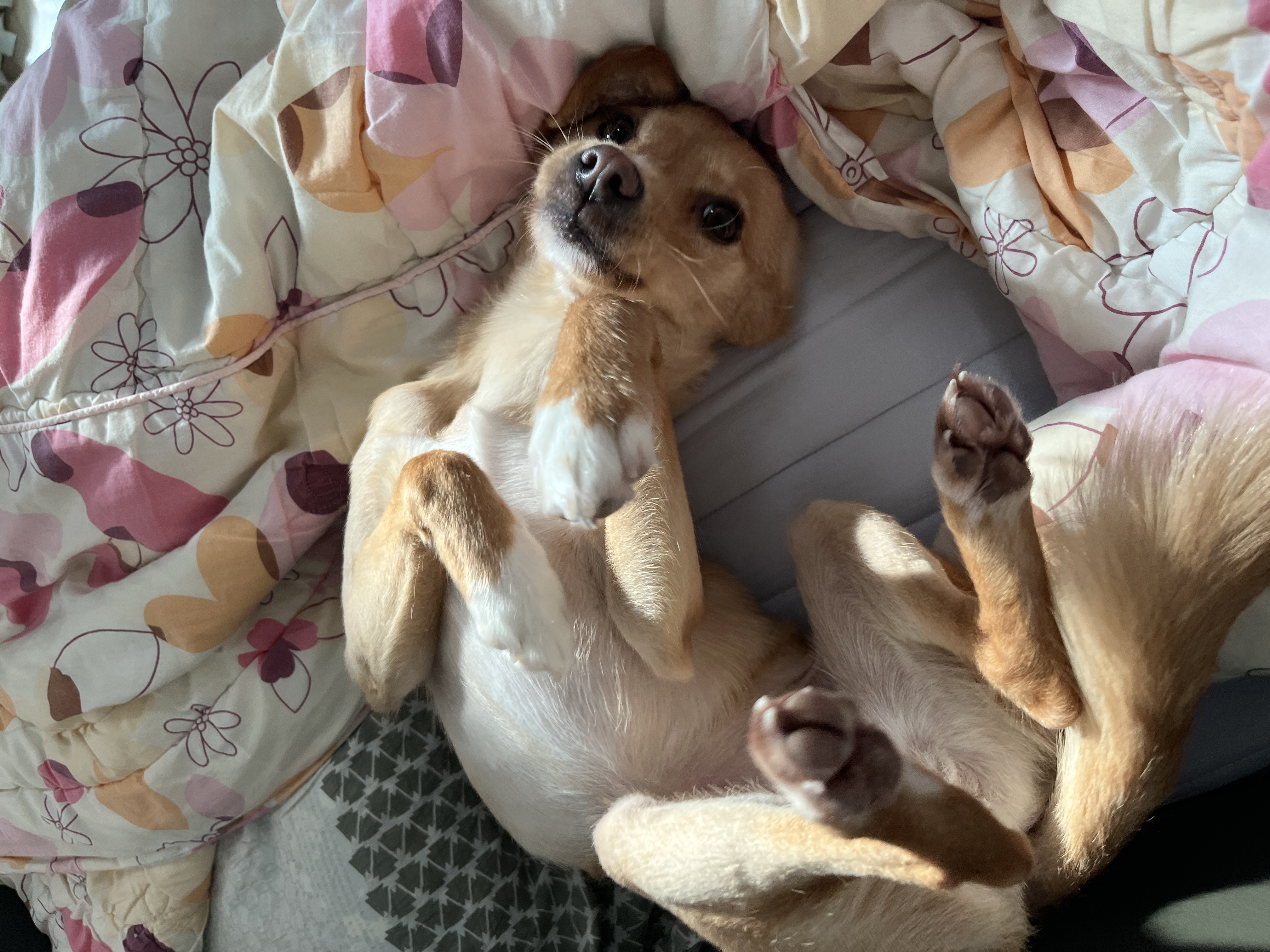 뽀또(이포)의 행복한 막내일기 <3>