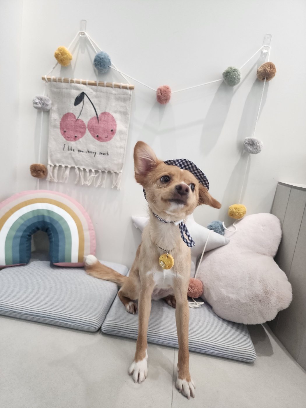 뽀또(이포)의 행복한 막내일기 <3>