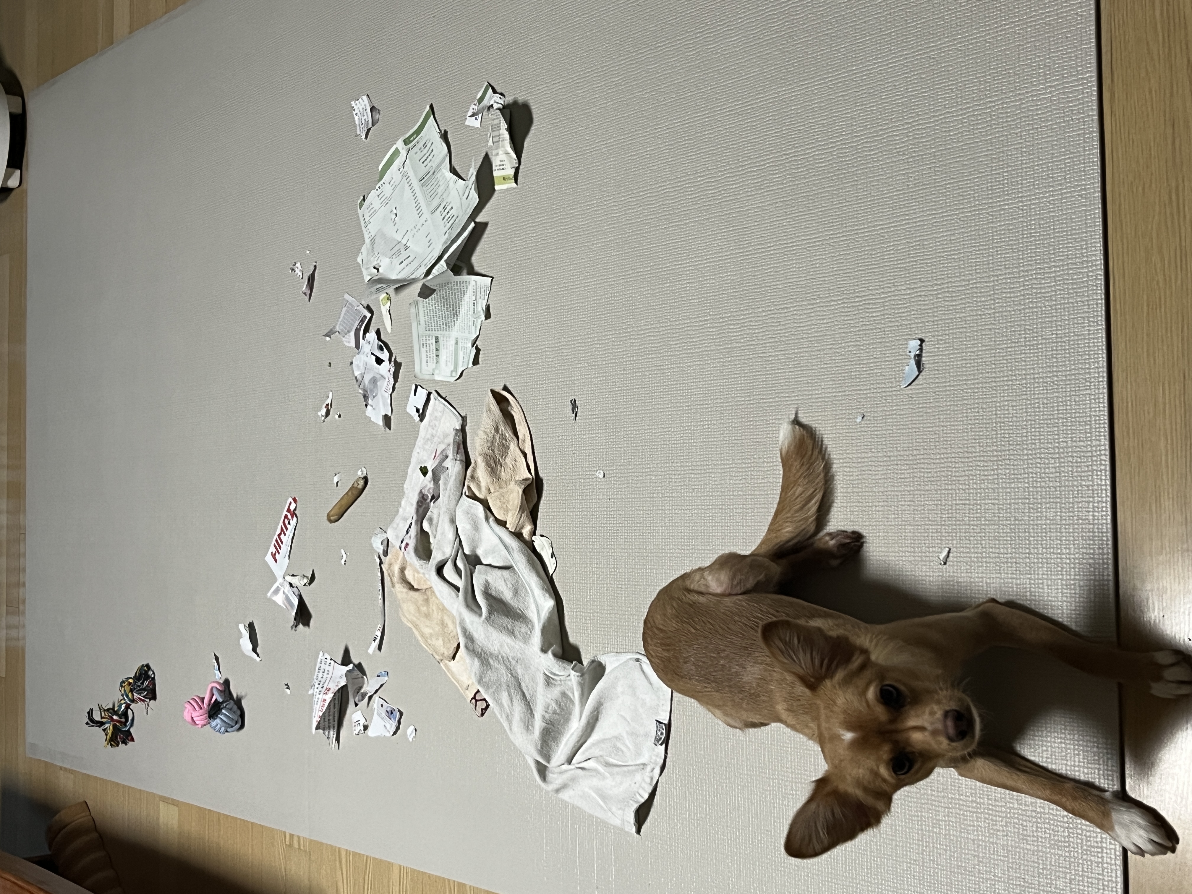 뽀또(이포)의 행복한 막내일기 <3>