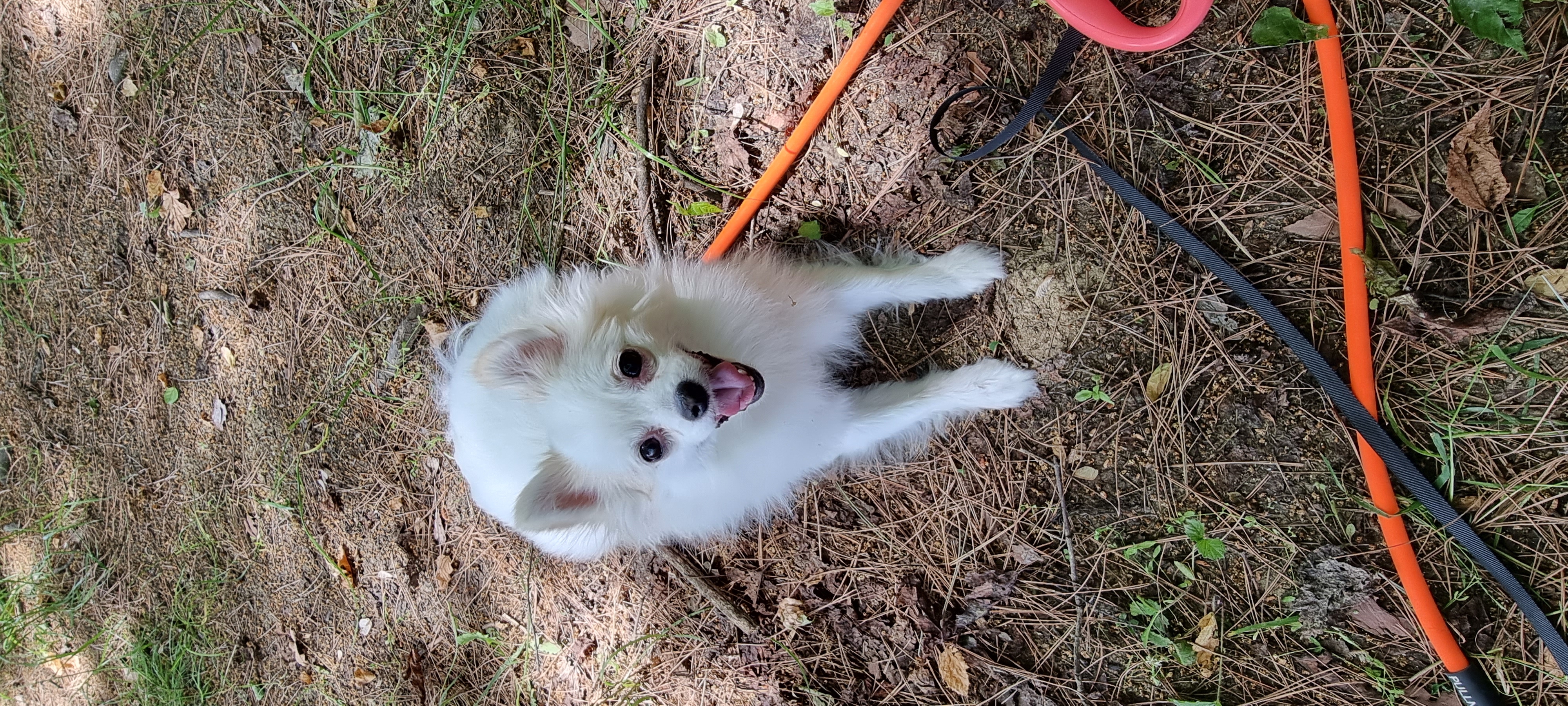 (올리) 저희 집에 온 지 9개월 됐네요.