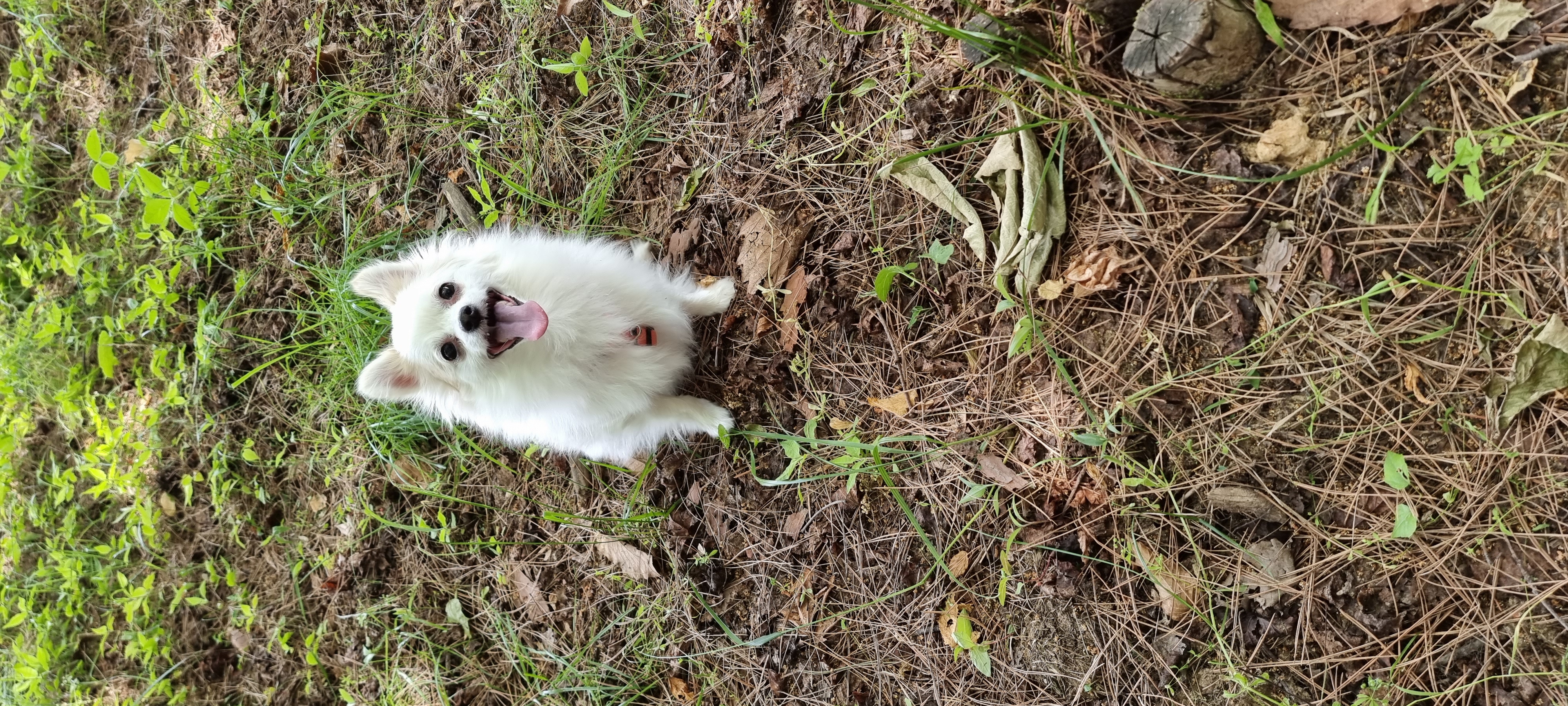 (올리) 저희 집에 온 지 9개월 됐네요.
