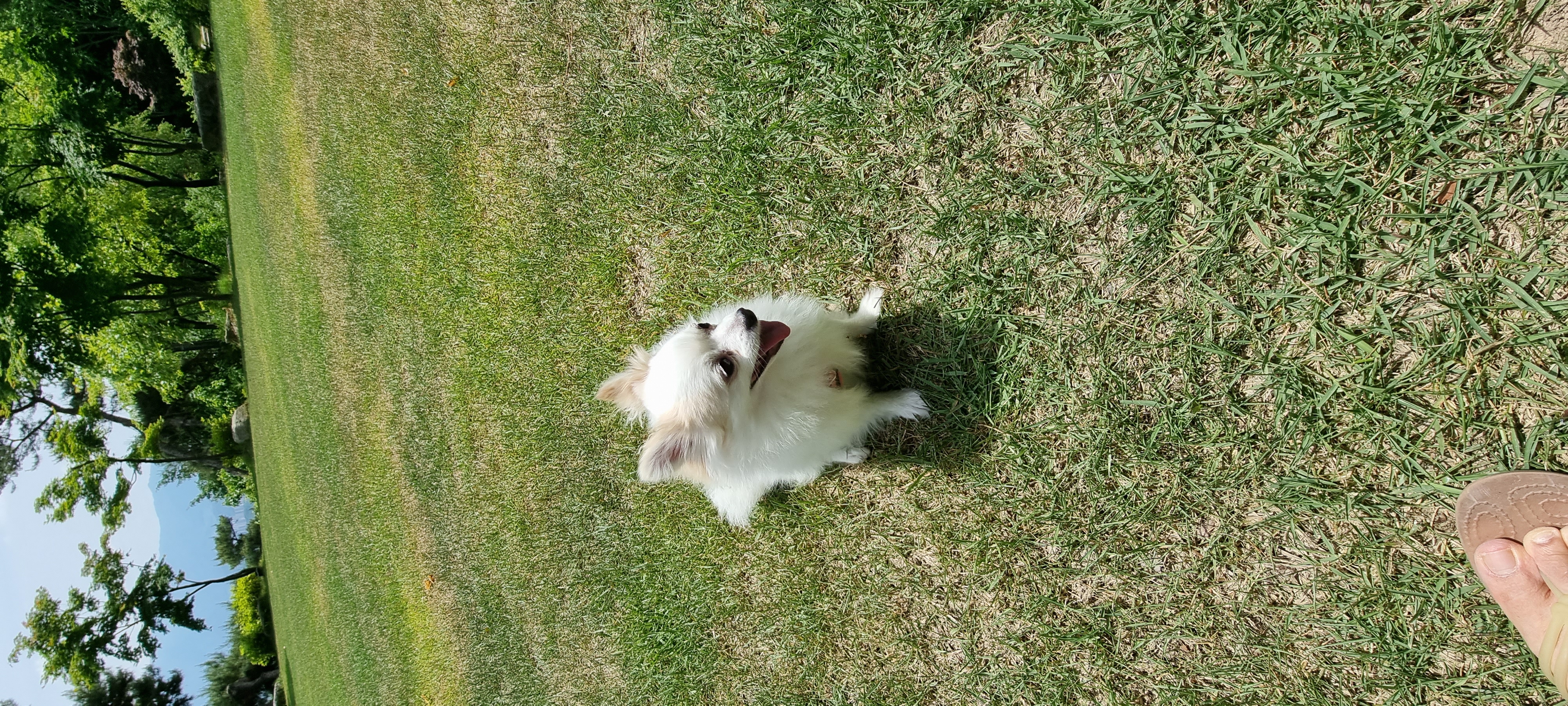 (올리) 저희 집에 온 지 9개월 됐네요.