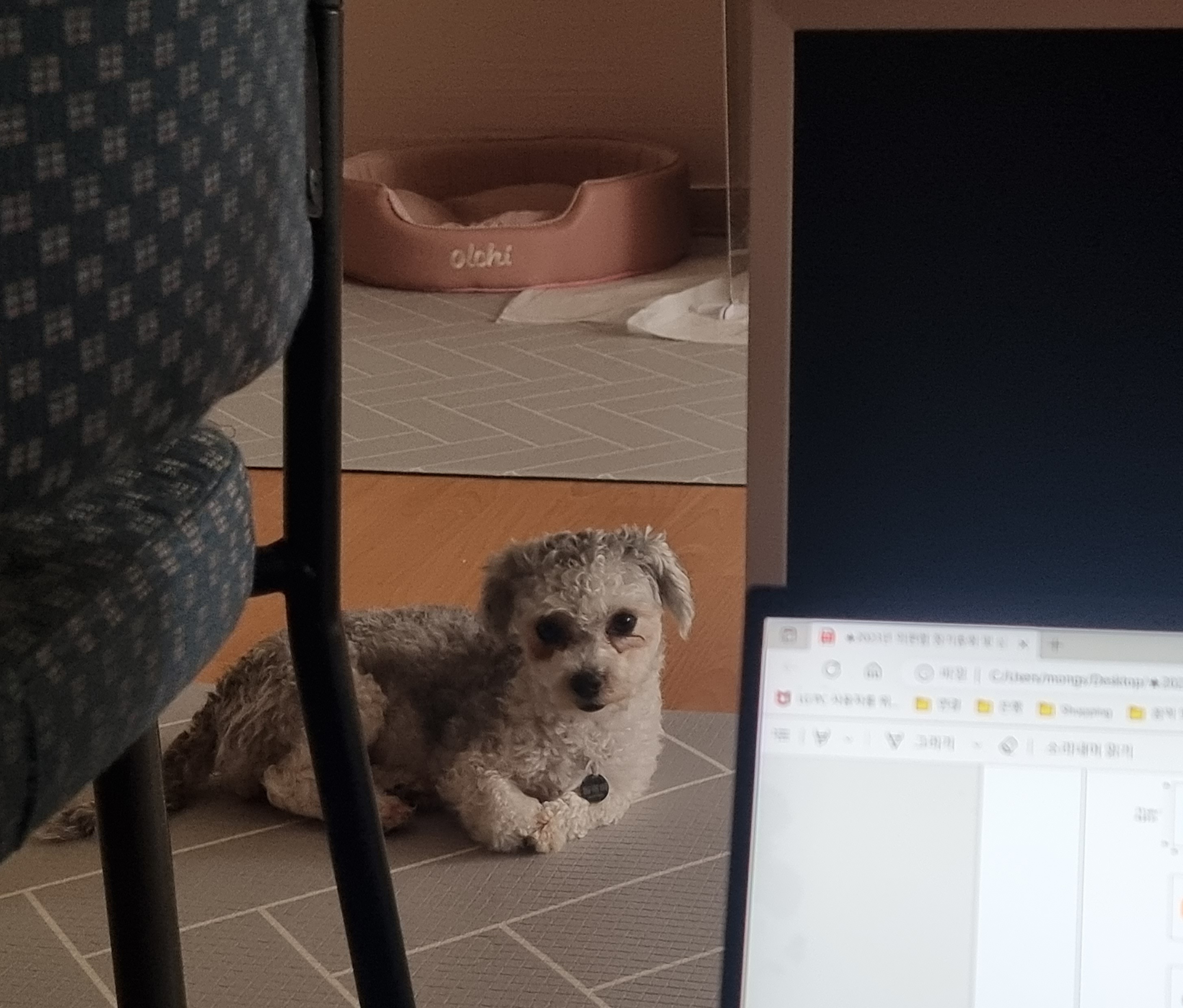 [임보] 🧡달록이🧡의 1주일