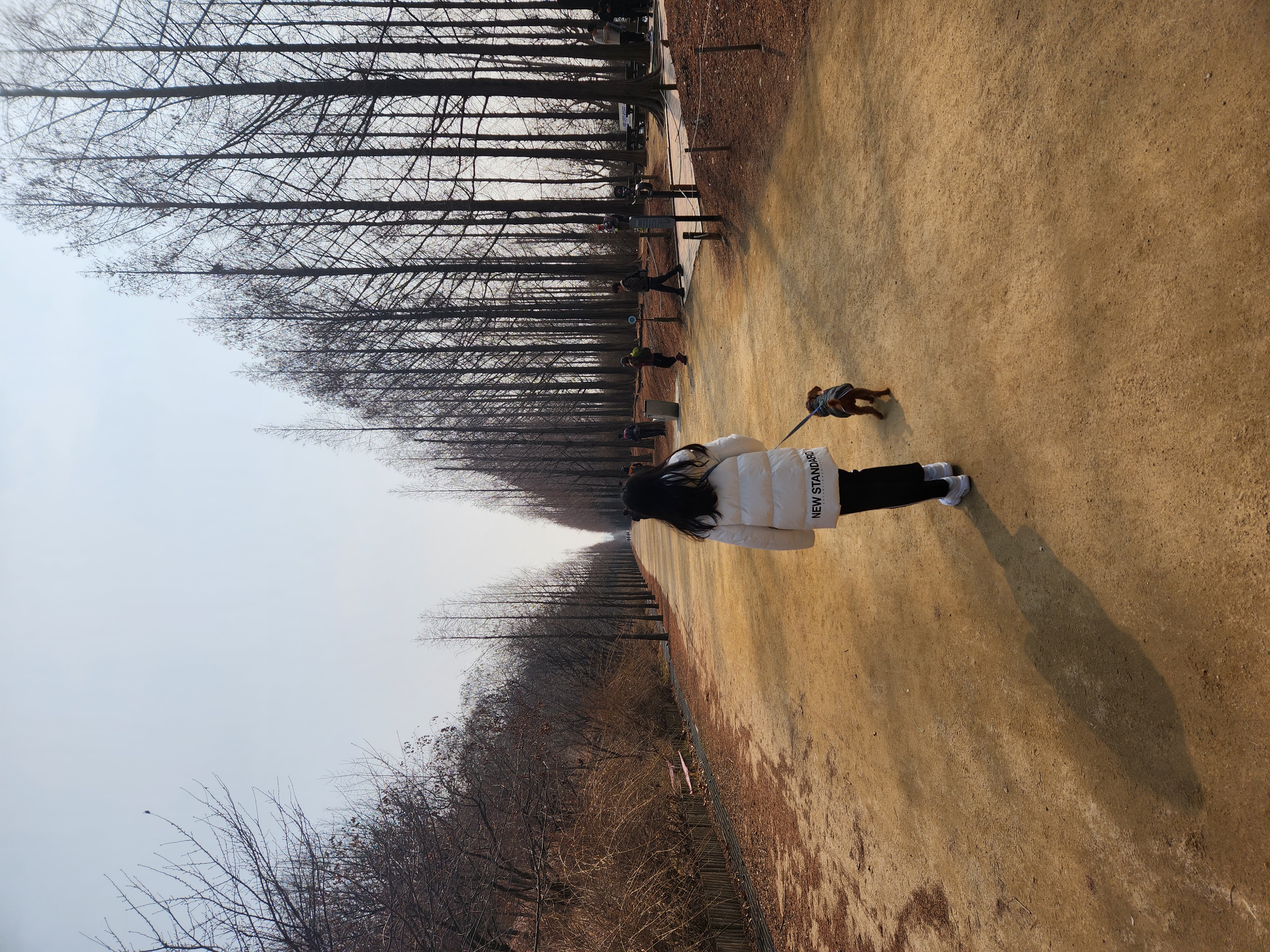 코아입양5년후기