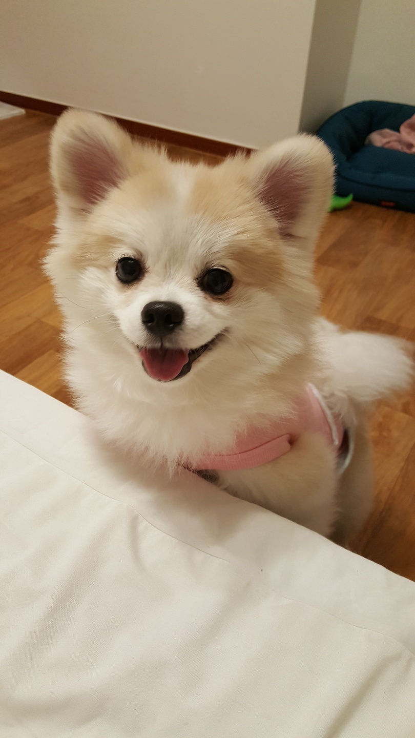 레오에요~( 구 곤지암 금송이)