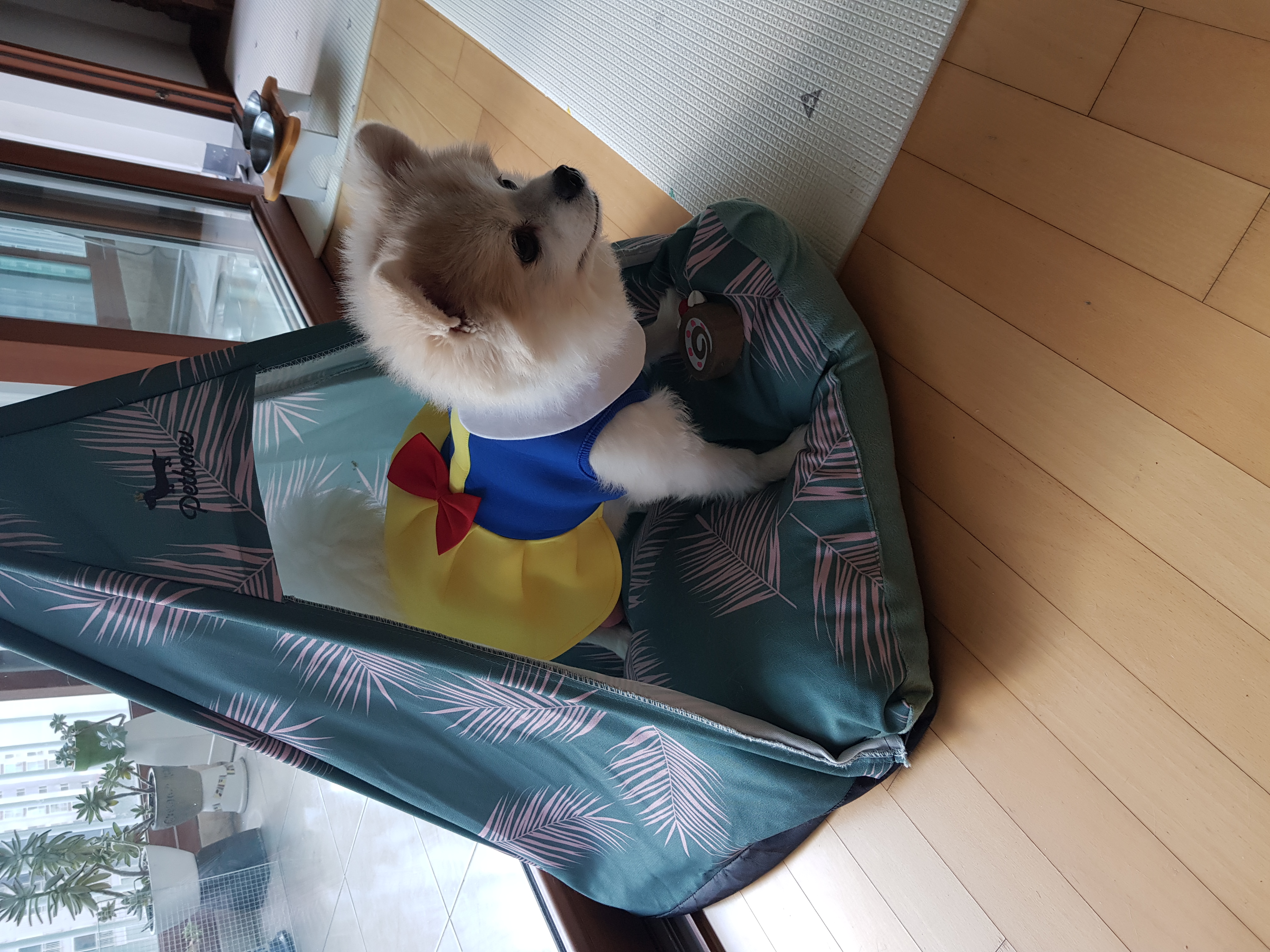 레오에요~( 구 곤지암 금송이)