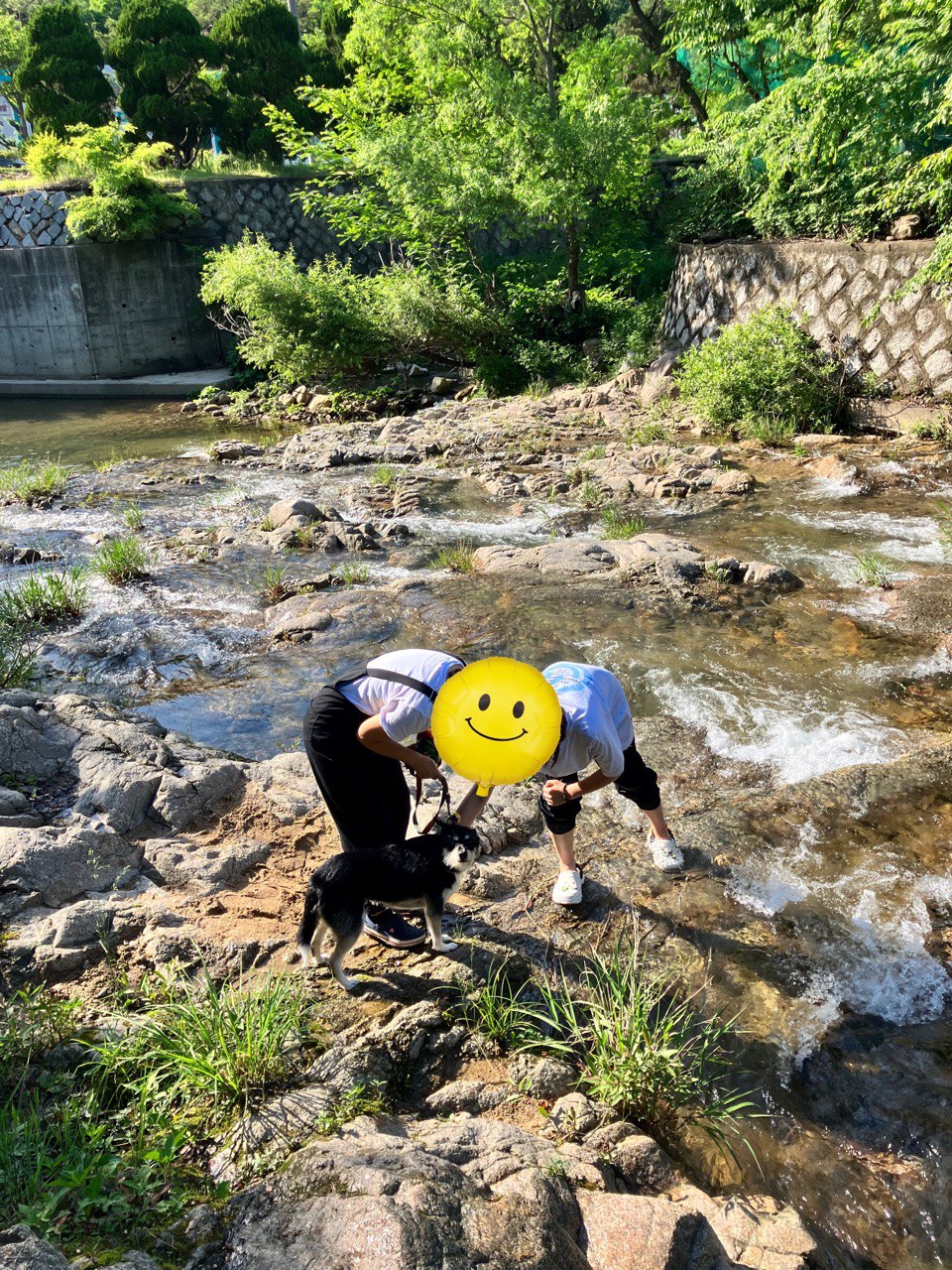 두송이(로하)와 함께 한 1년 