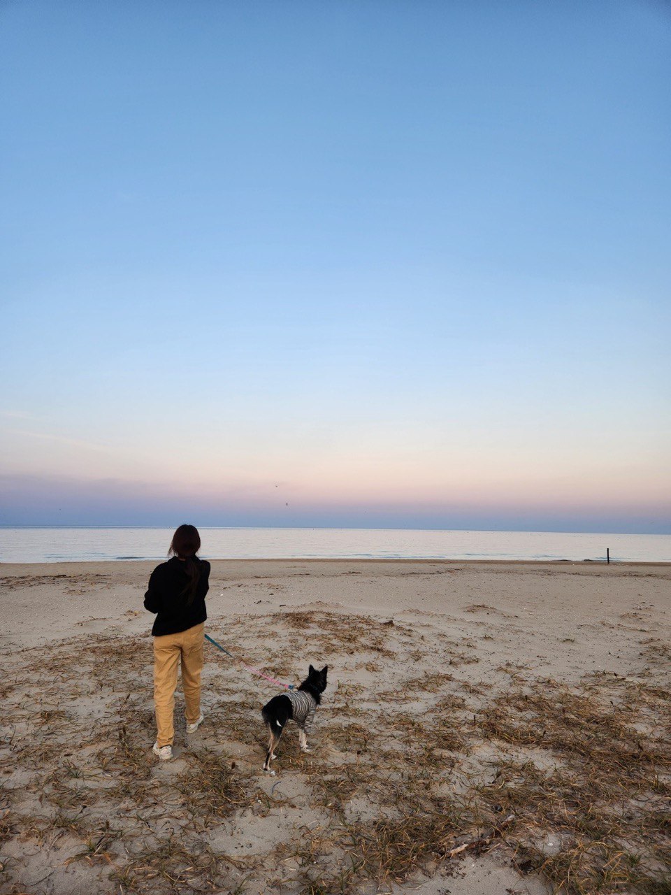 두송이(로하)와 함께 한 1년 