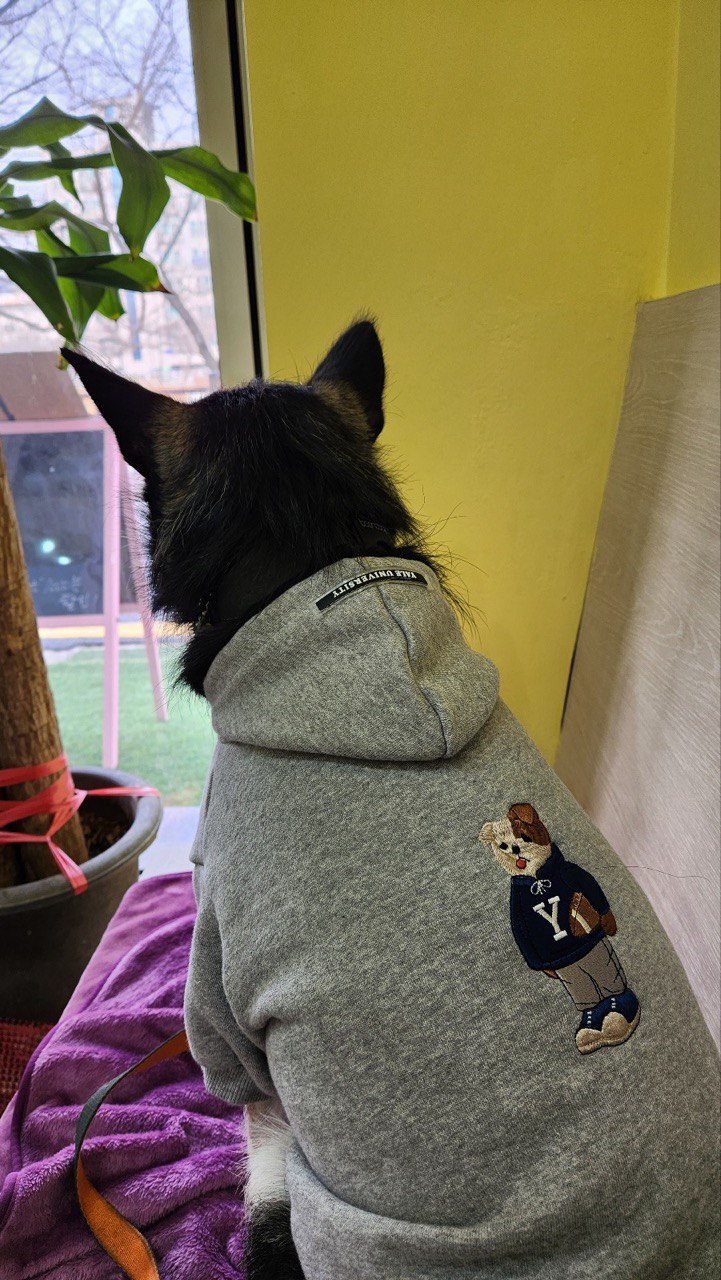 두송이(로하)와 함께 한 1년 