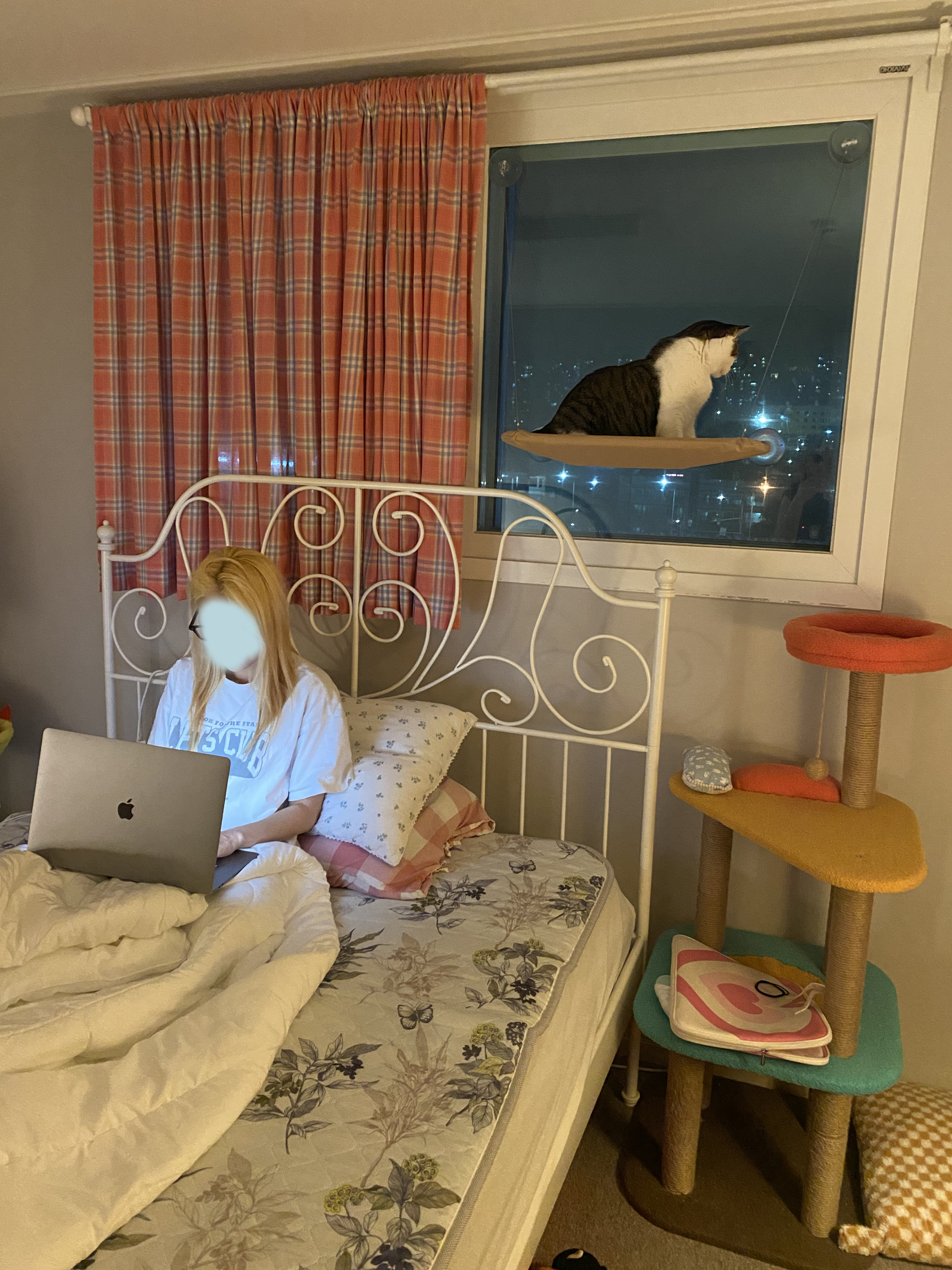 서창이의 입양일지4