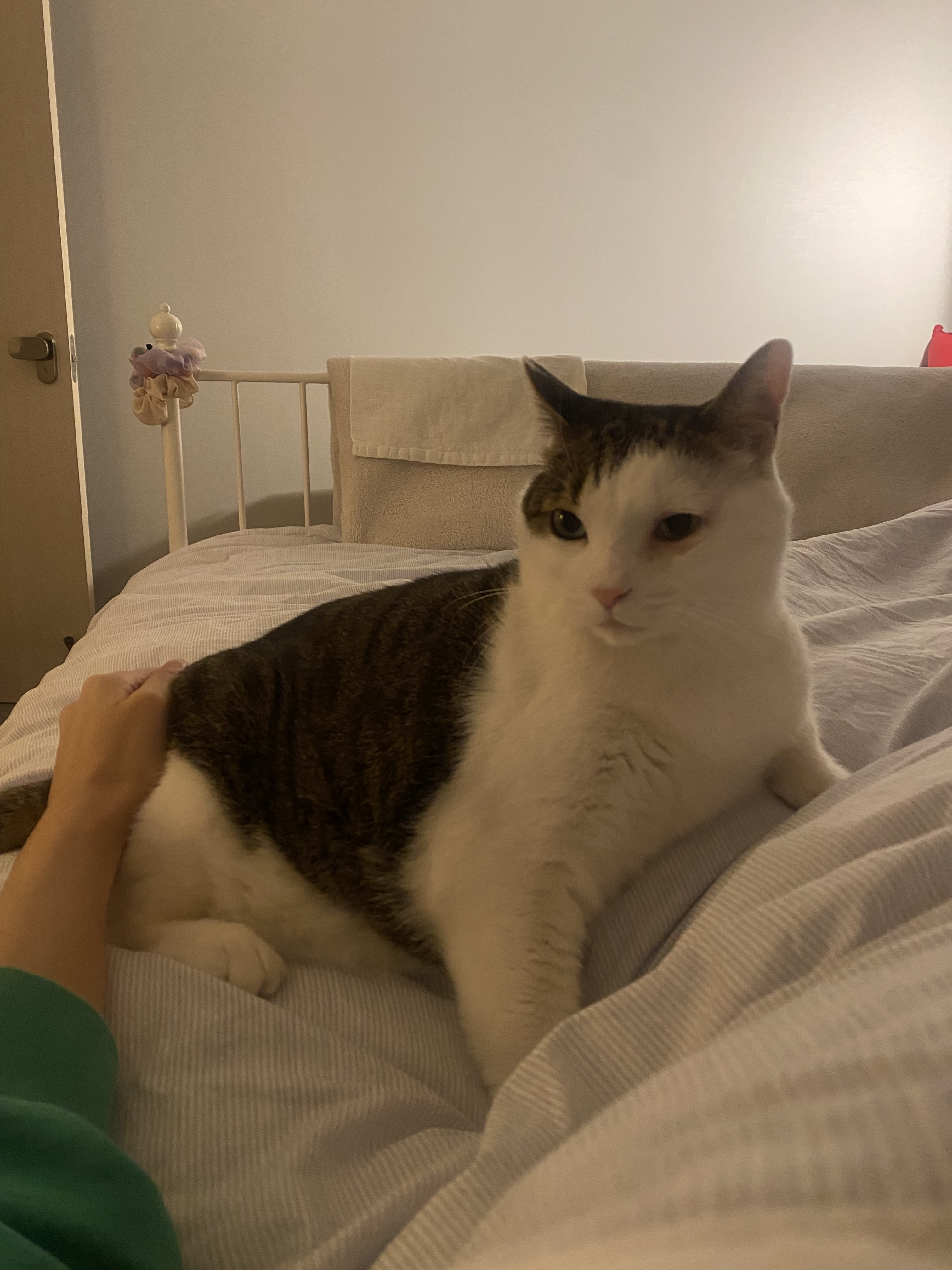 서창이의 입양일지4