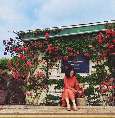 장금이 제주살이 4년차입니다. ^^