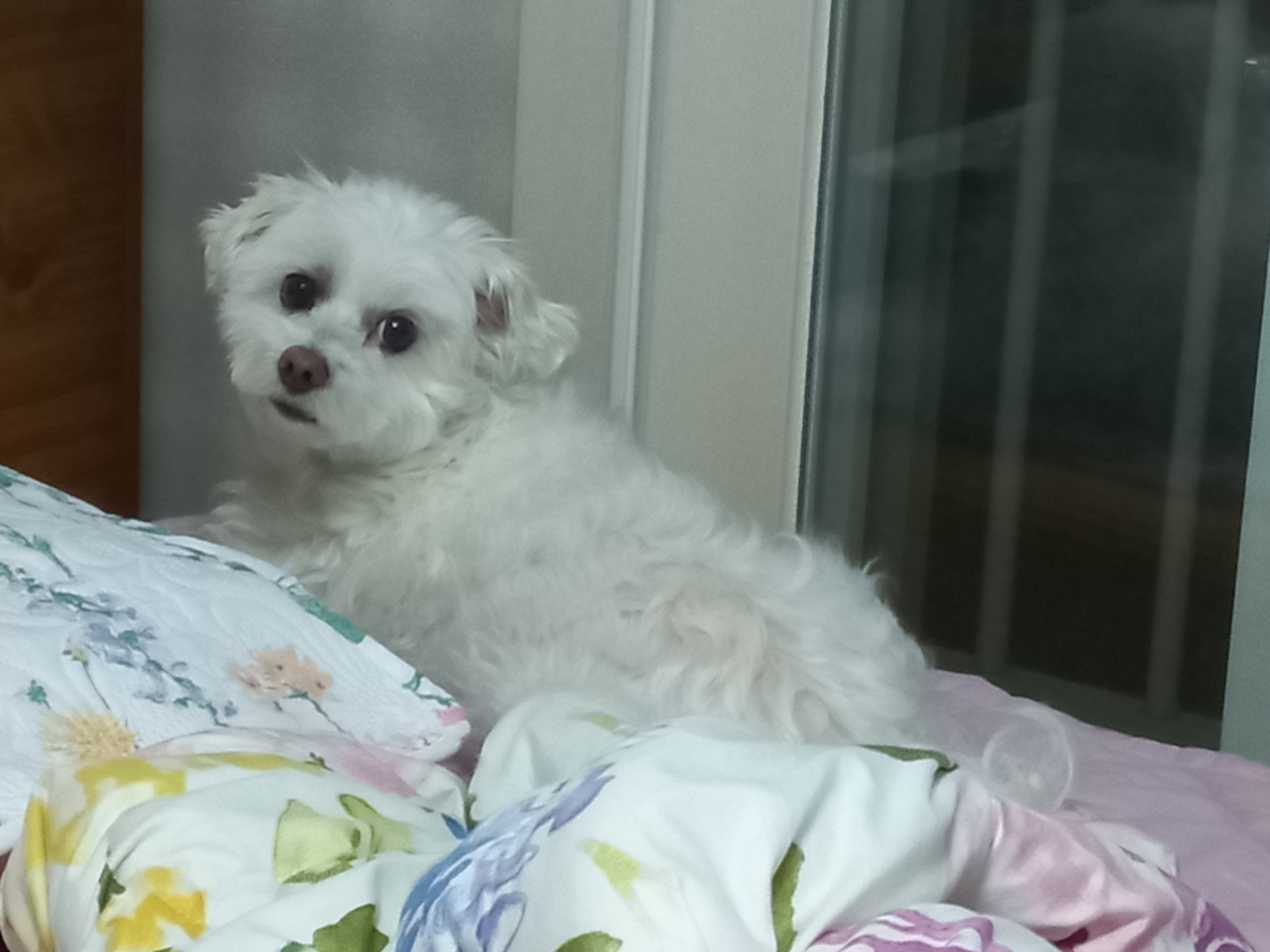 돌돌이의 거창살이 5년차