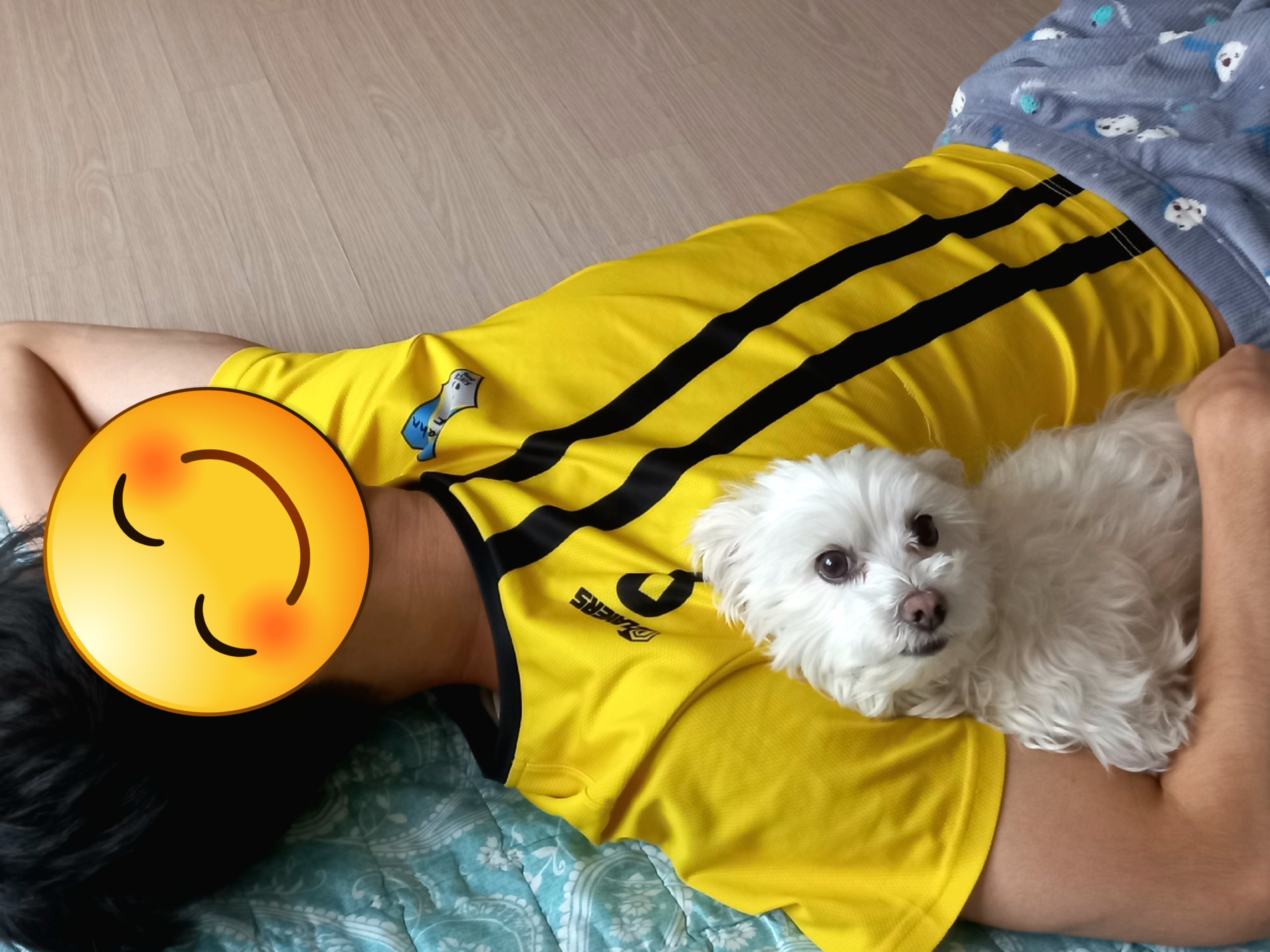 돌돌이의 거창살이 5년차