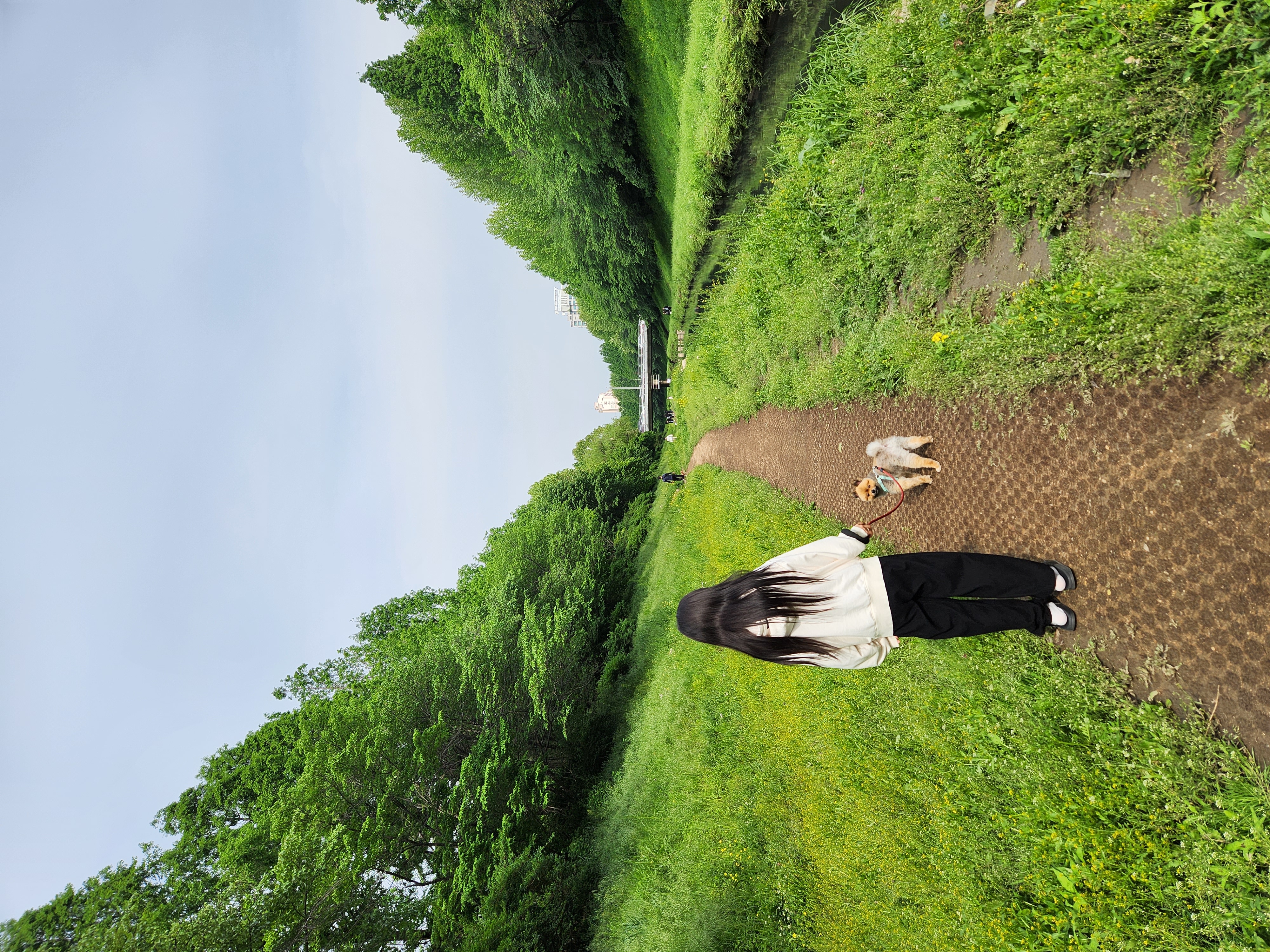 라쿤이 입양 2년차