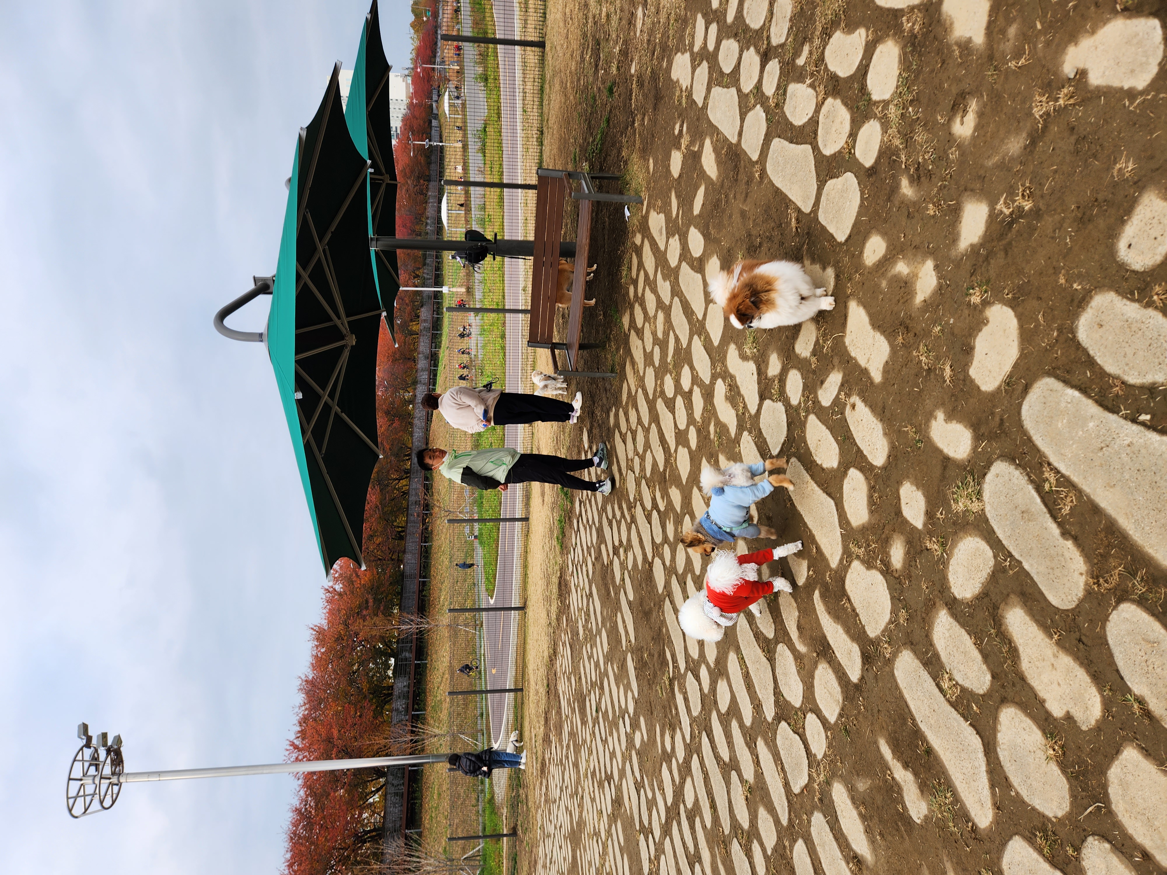 라쿤이 입양 2년차