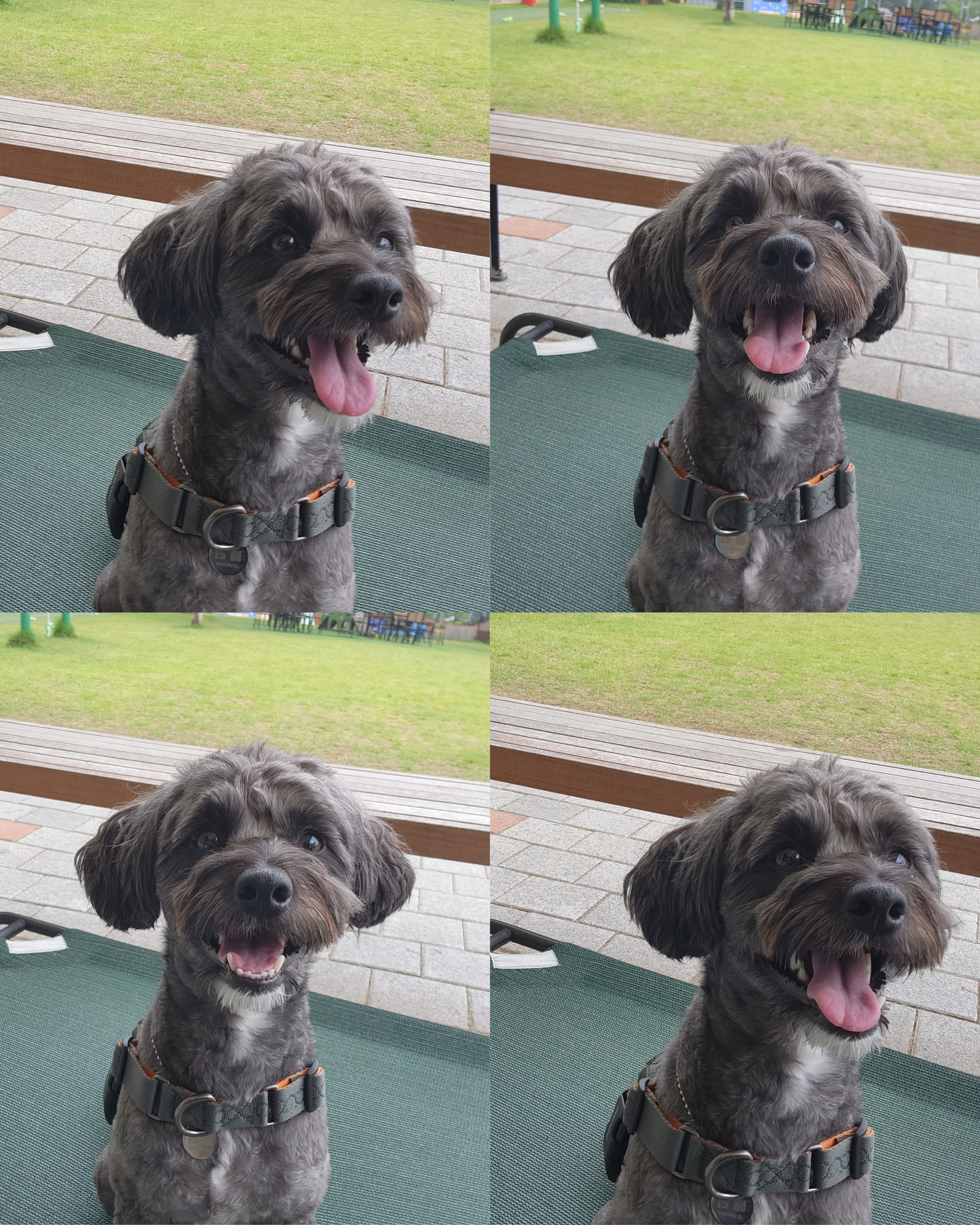 배리(말푸이) 한달입니다!