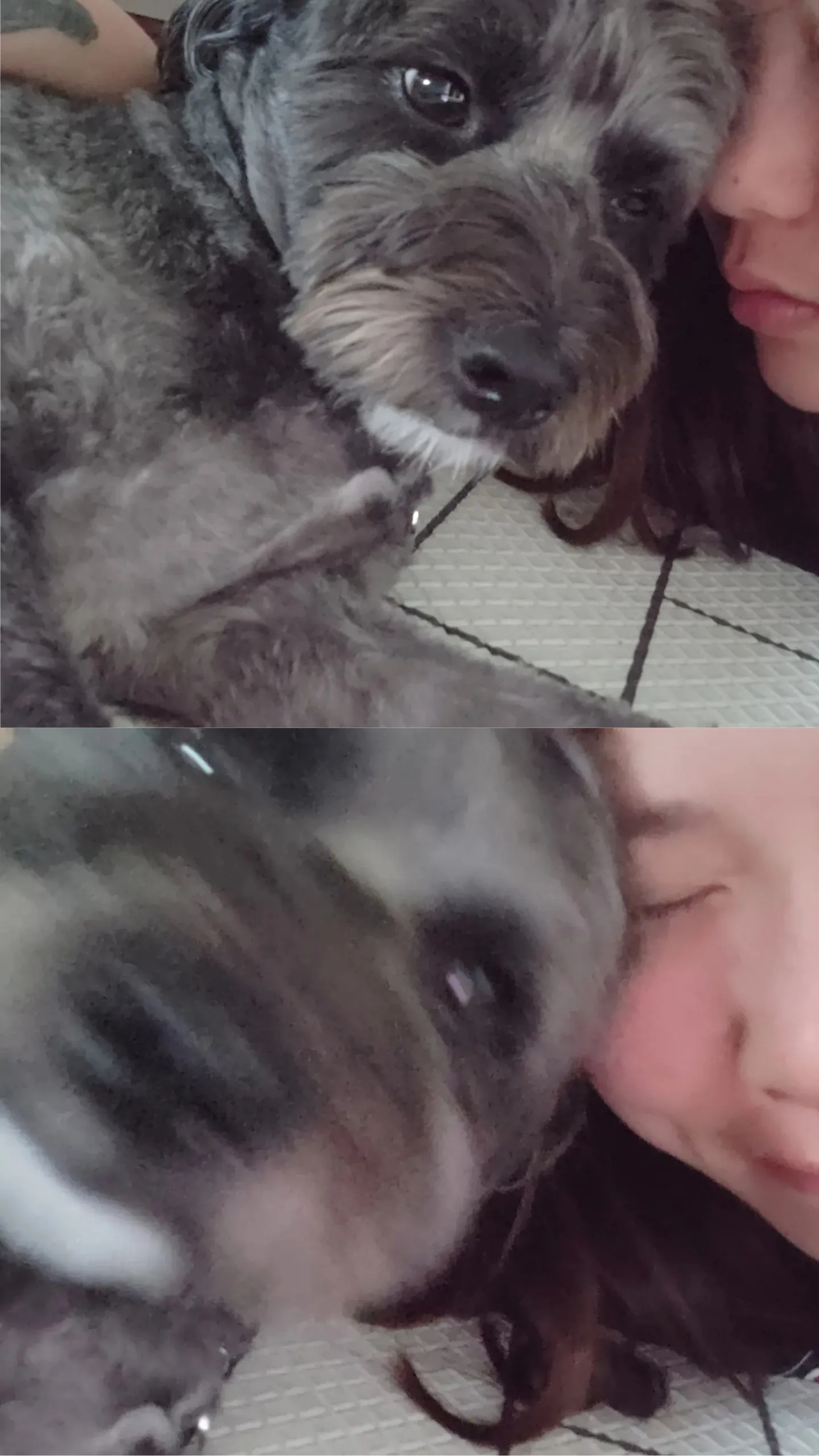 배리(말푸이) 한달입니다!