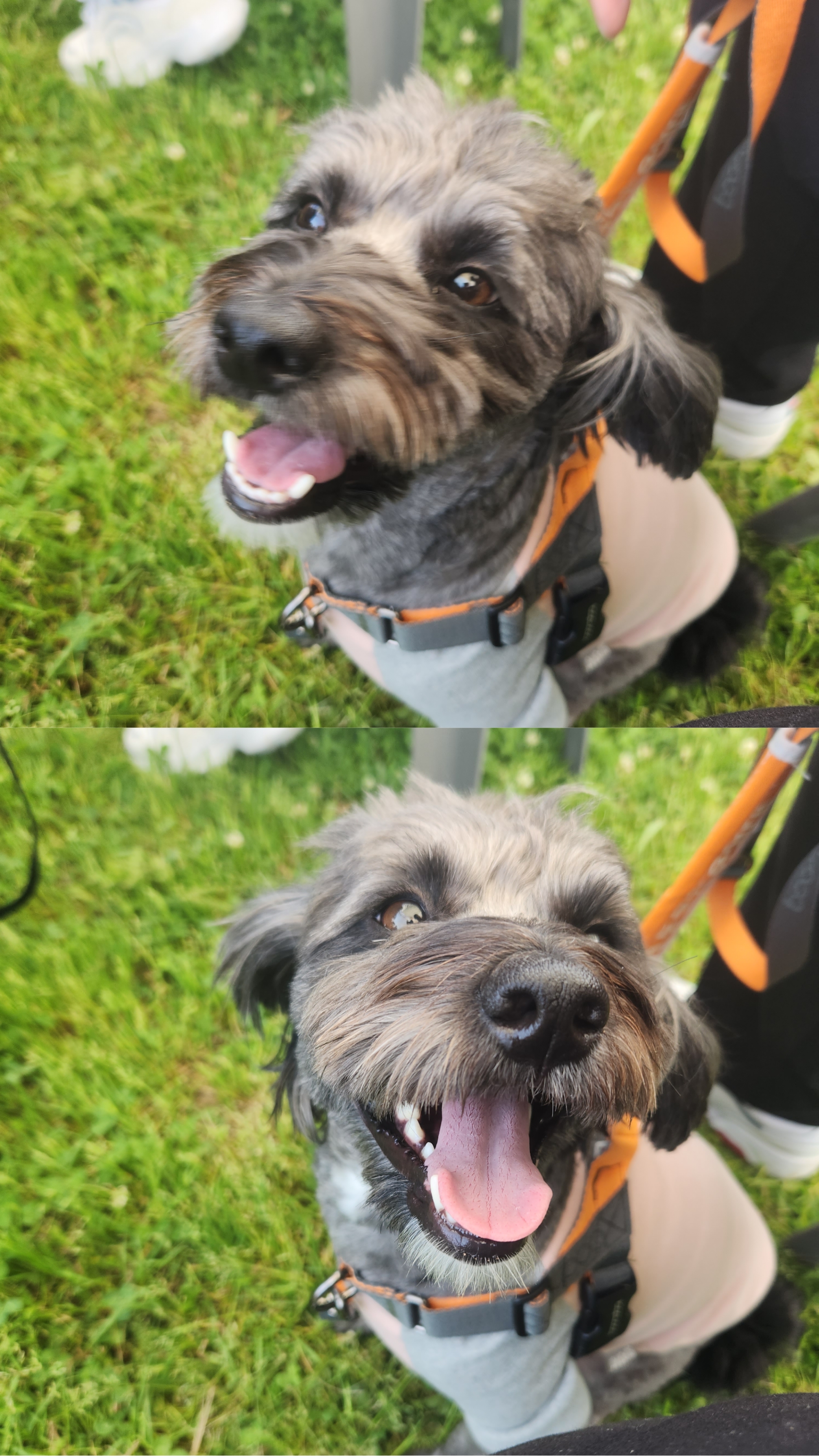 배리(말푸이) 한달입니다!