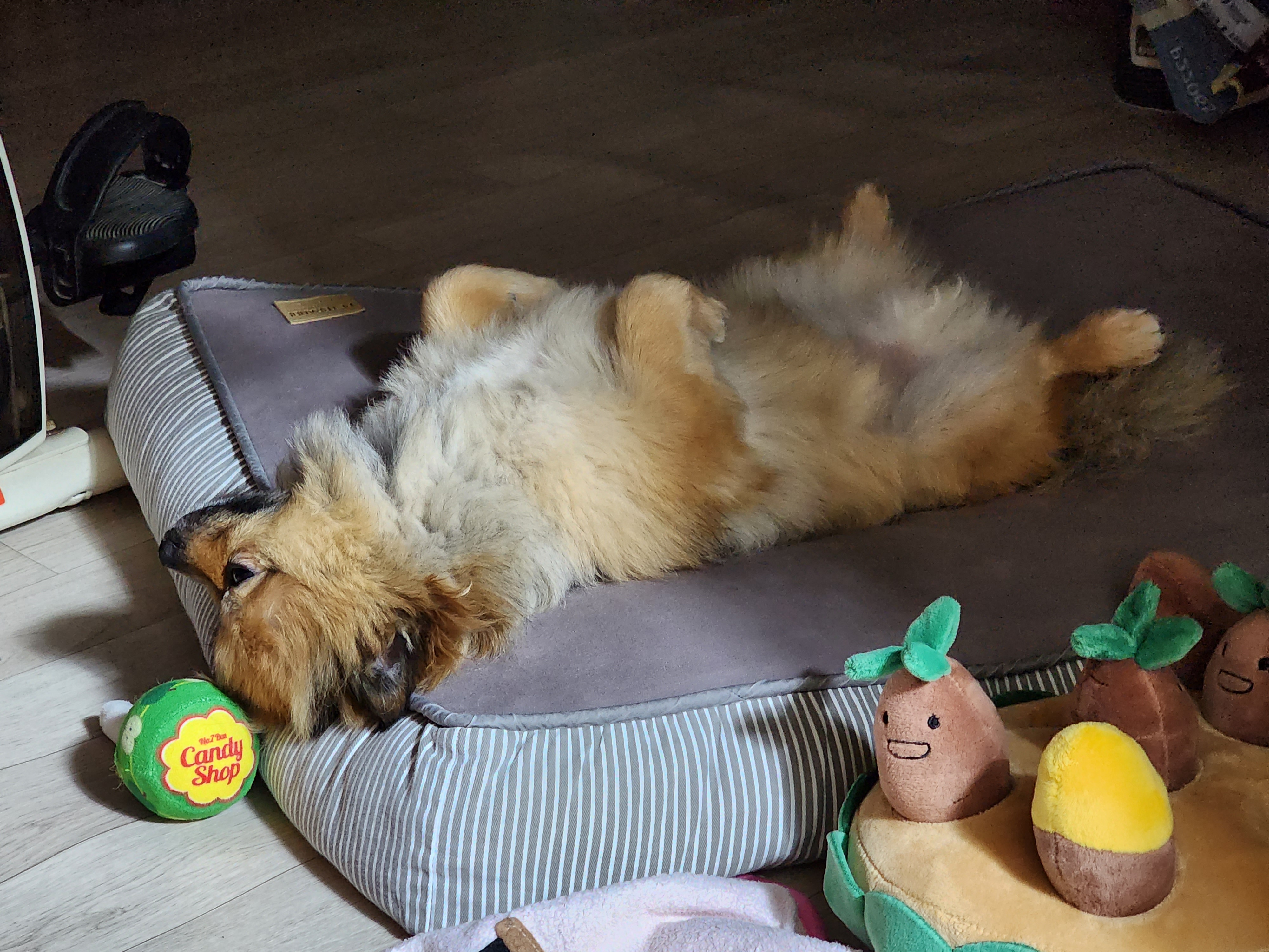 러비(워일) 2년됐어요♡♡