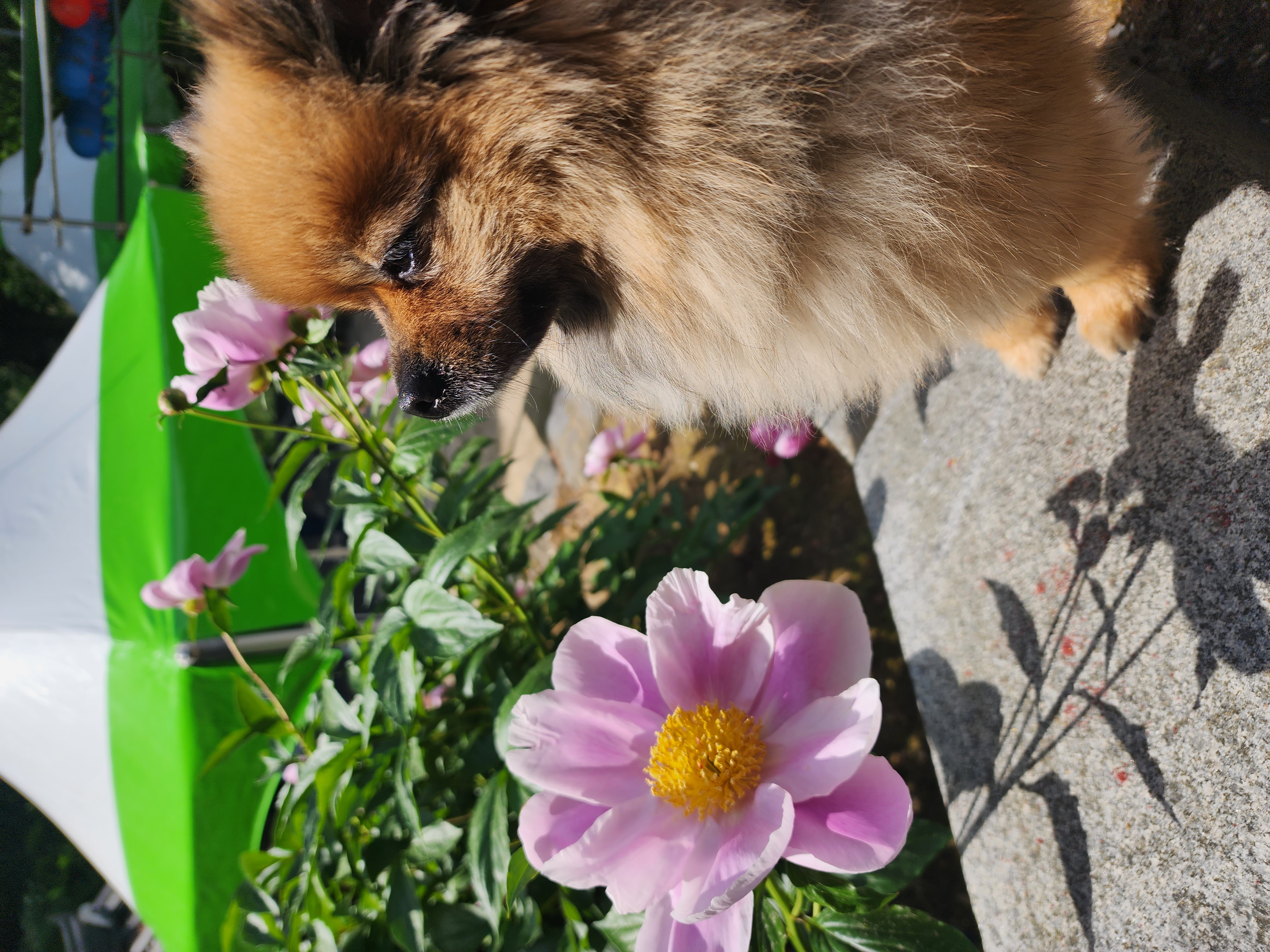 러비(워일) 2년됐어요♡♡