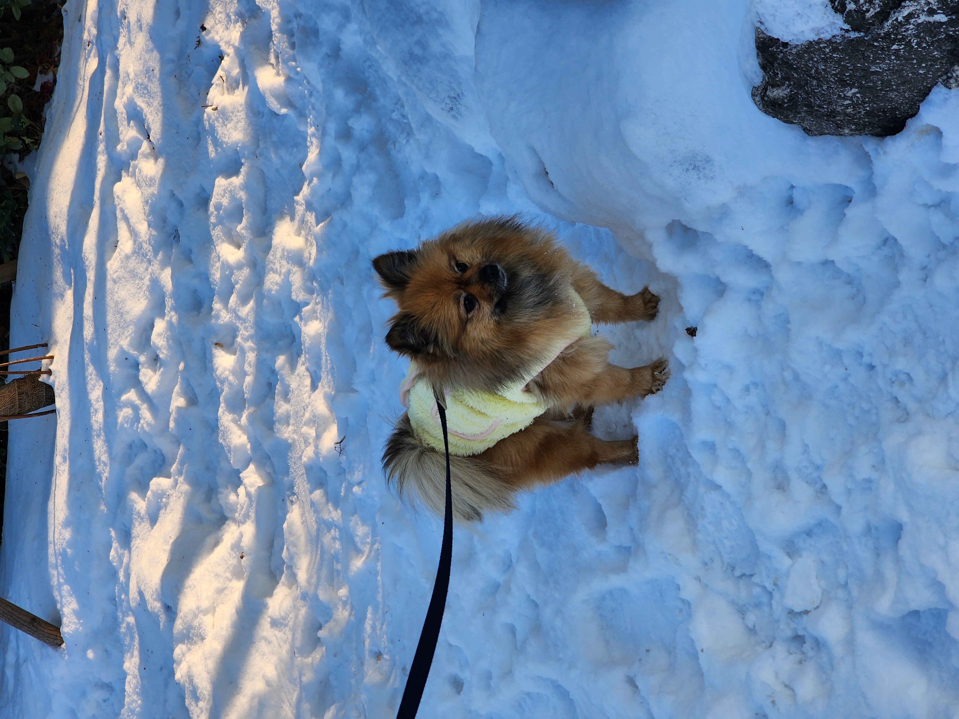 러비(워일) 2년됐어요♡♡