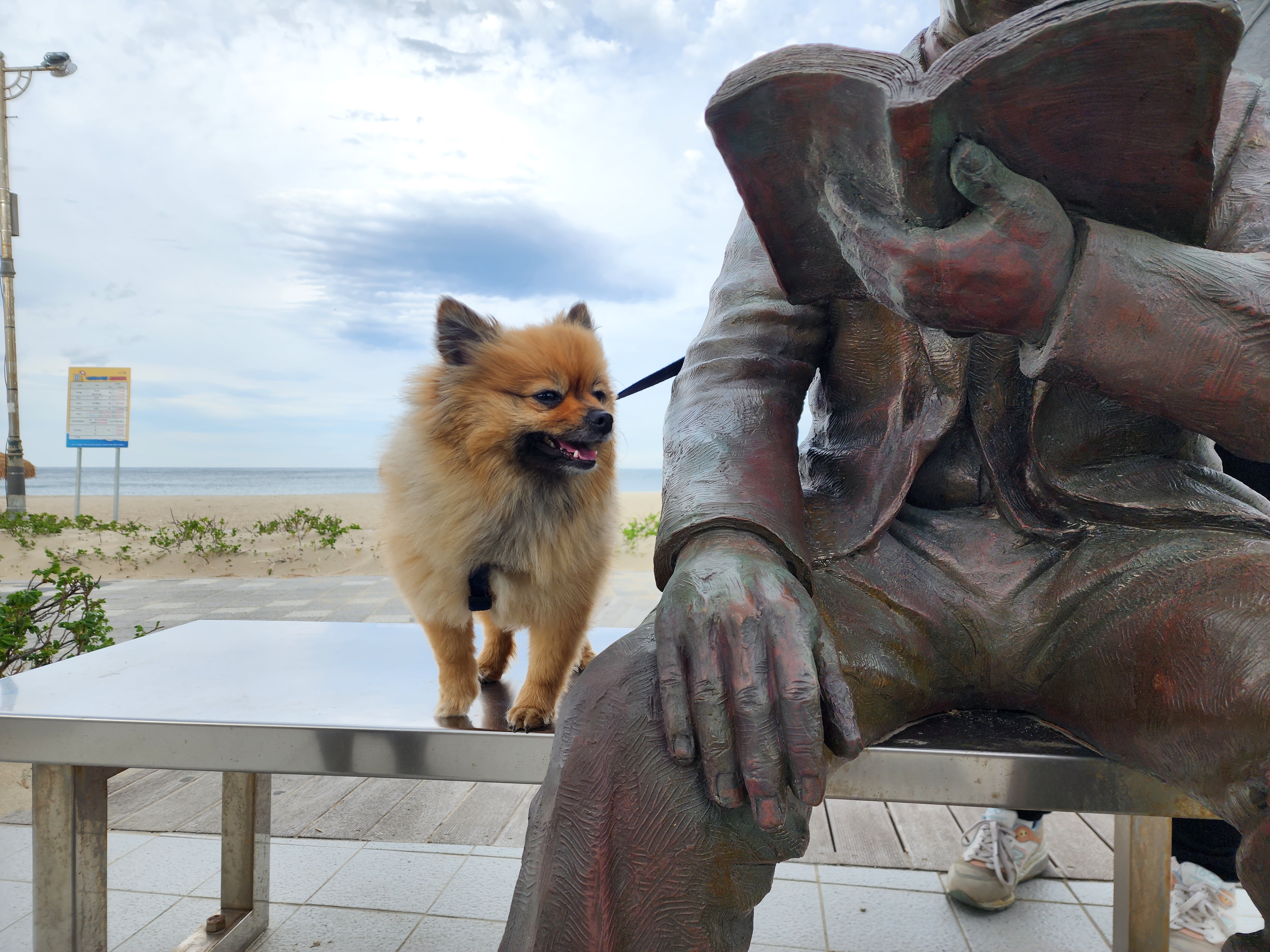 러비(워일) 2년됐어요♡♡