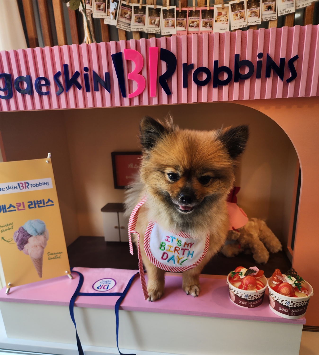 러비(워일) 2년됐어요♡♡