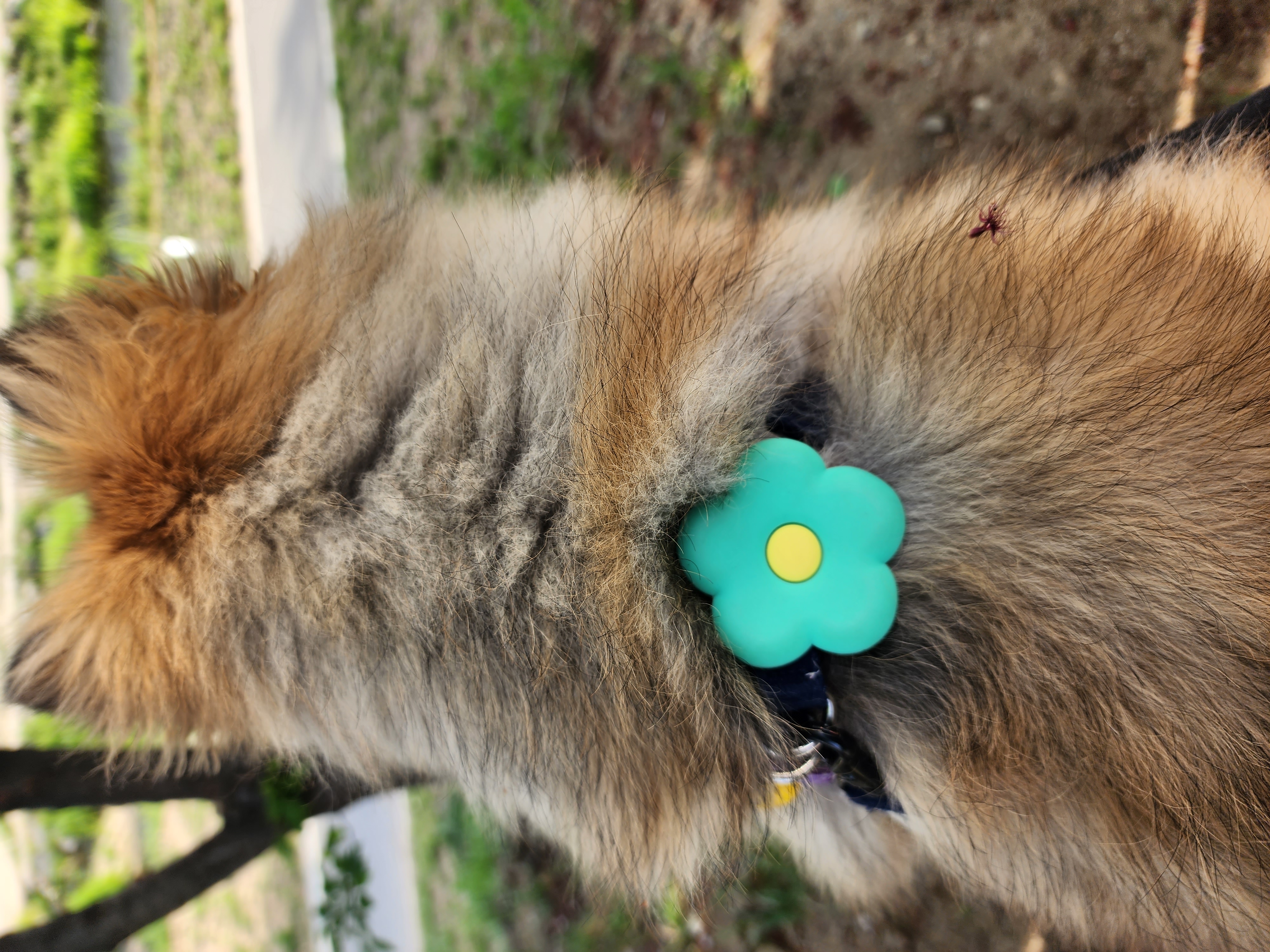 러비(워일) 2년됐어요♡♡