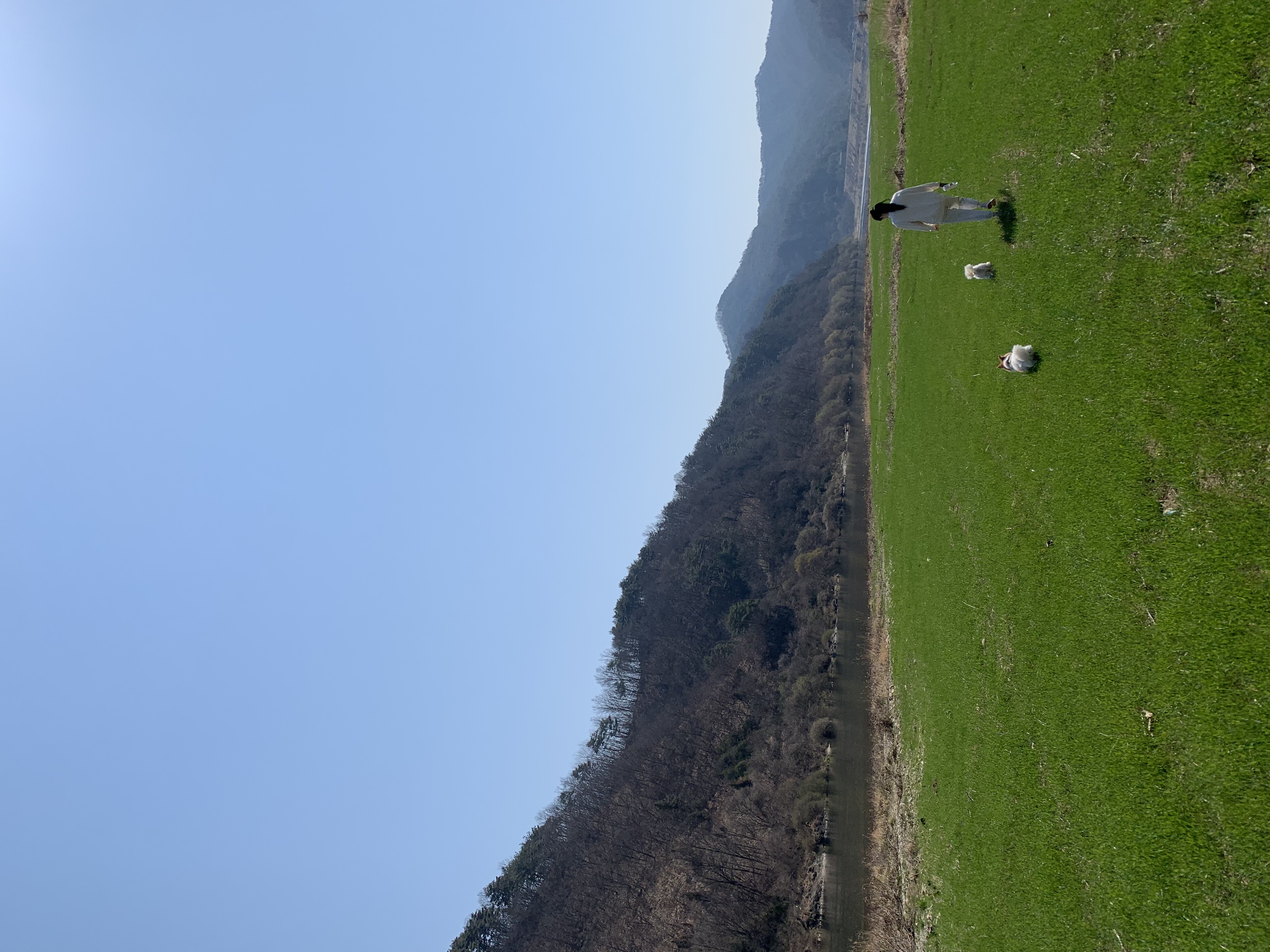 마루(꼬맹이) 입양 후 벌써 2년이 훌쩍 지났네요