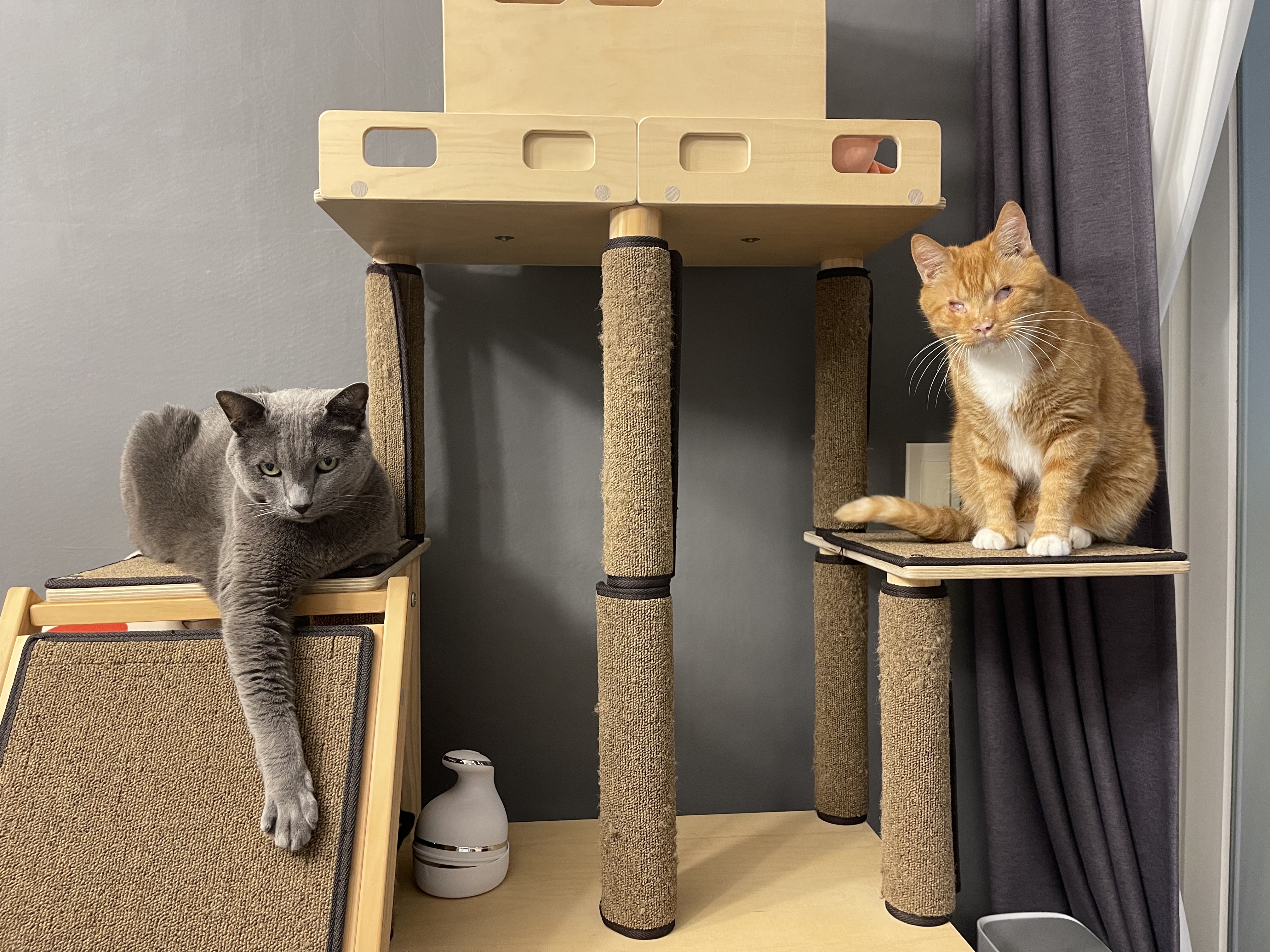 삐용이에게 심쿵했던 지난 1년