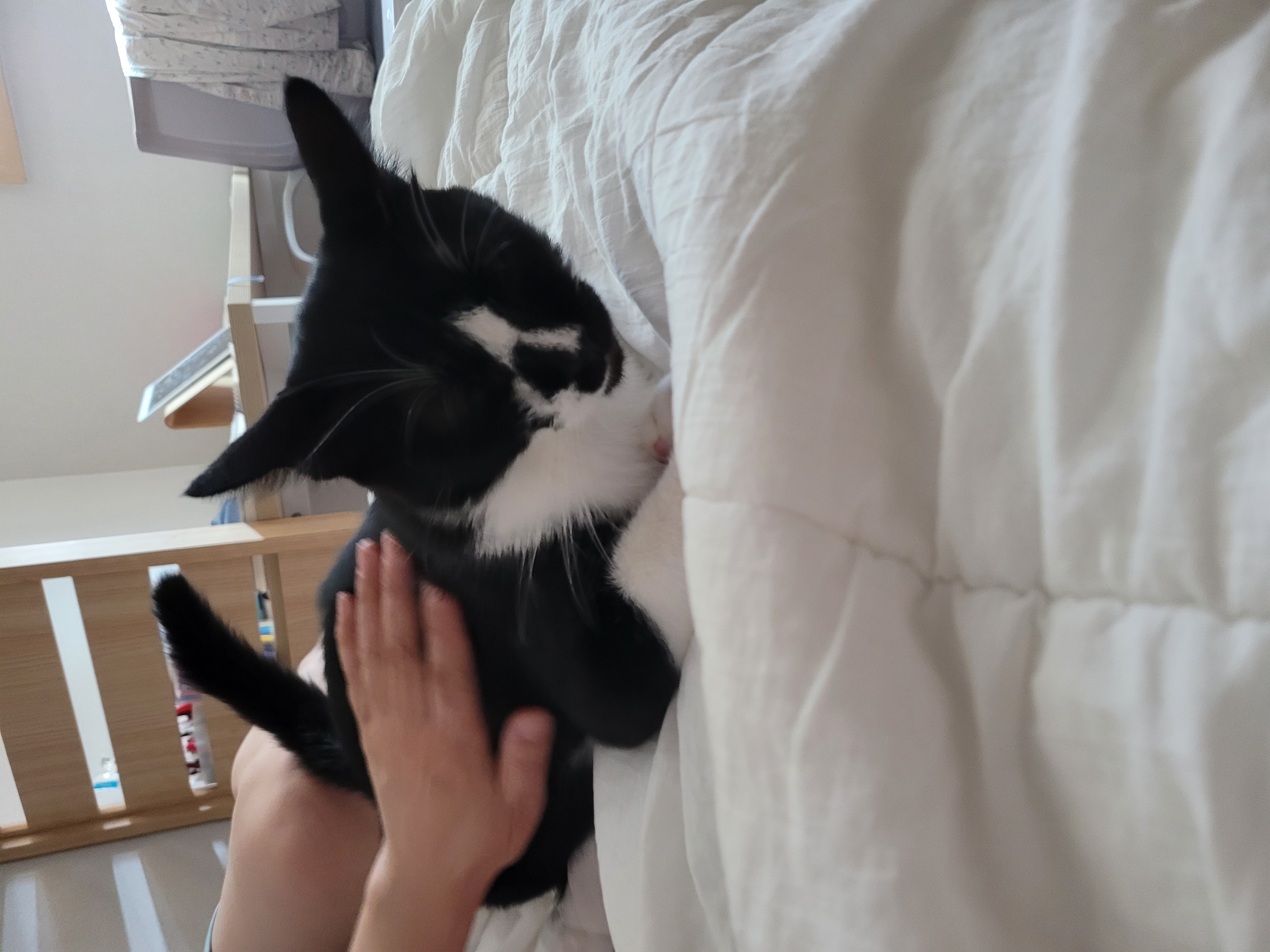 까미ㅡ사랑뿜뿜♡