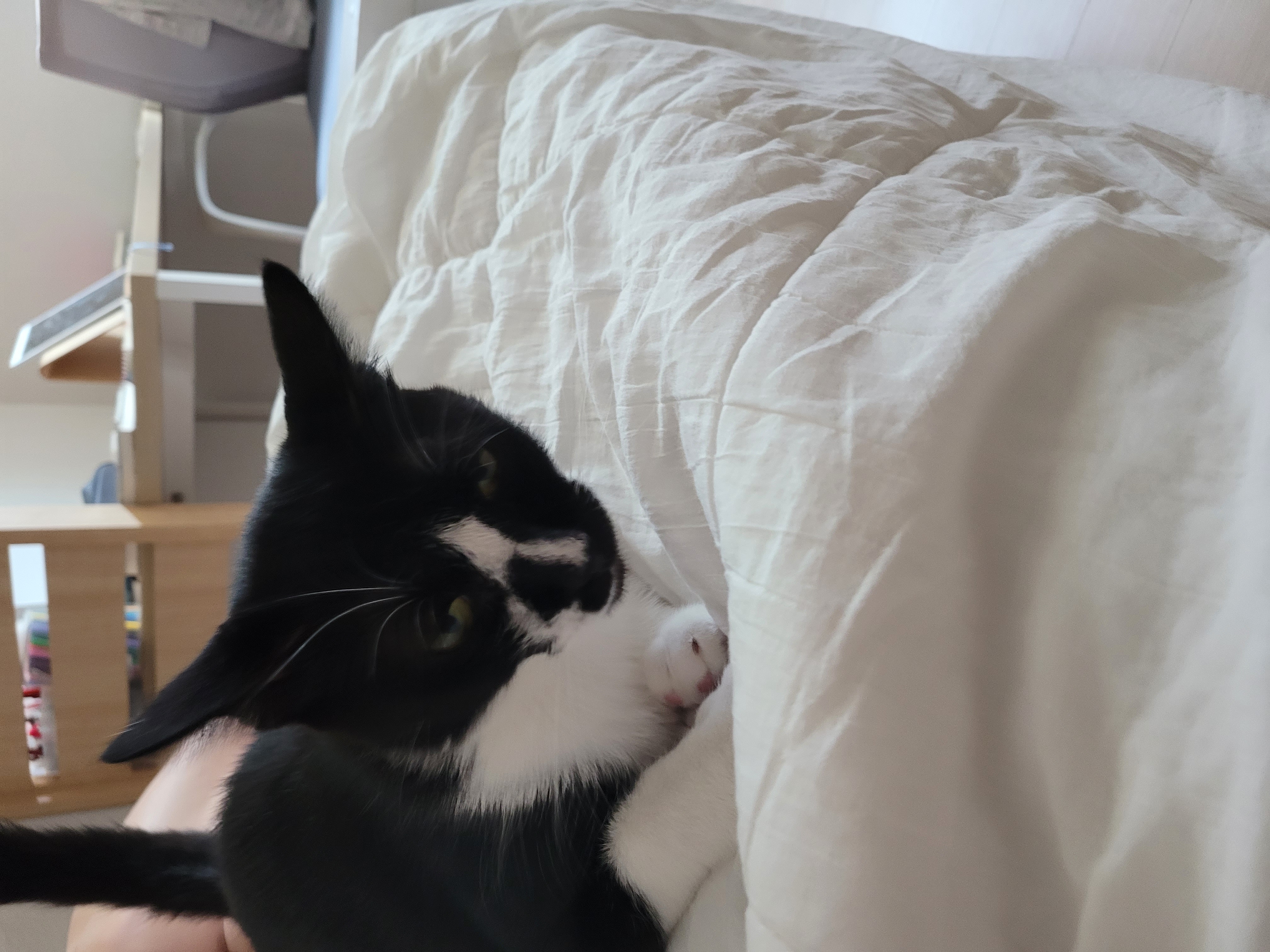 까미ㅡ사랑뿜뿜♡