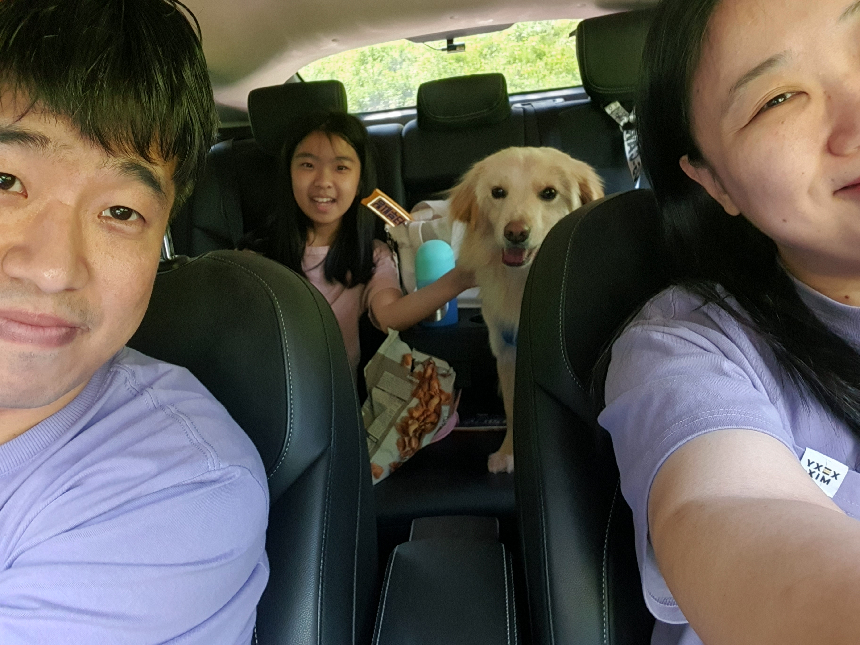 자몽이의 일주일(구 육콩이)