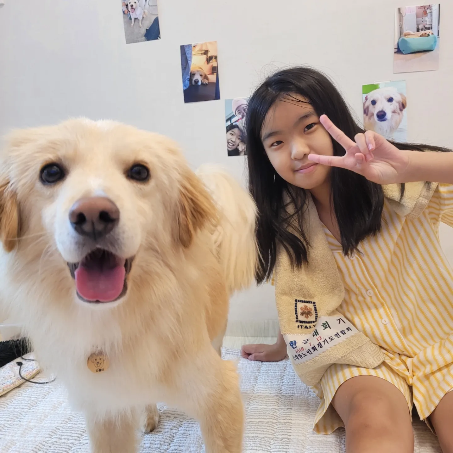 자몽이의 일주일(구 육콩이)