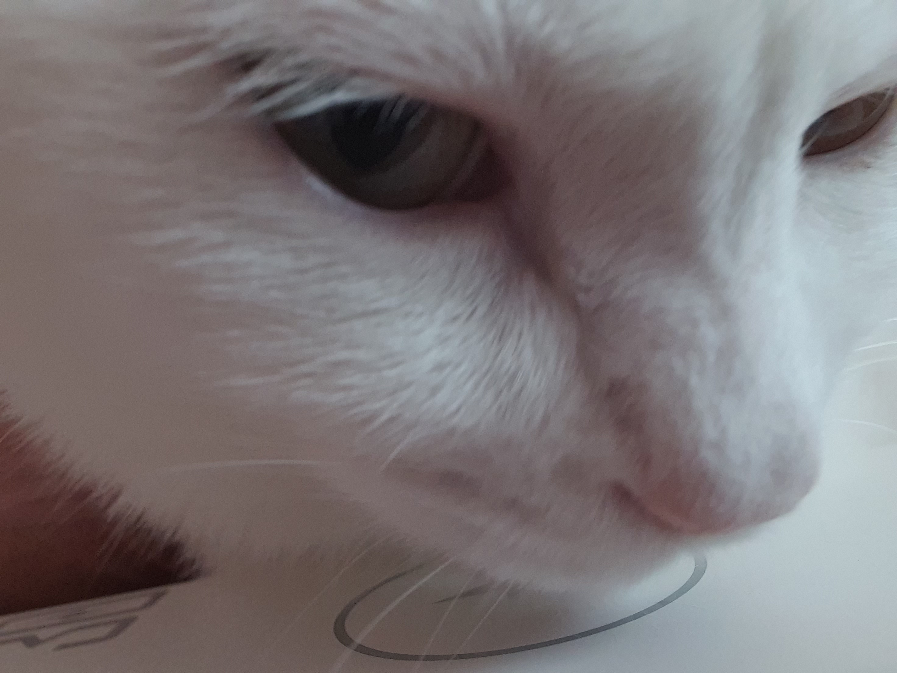 하트 잘 지내요^^