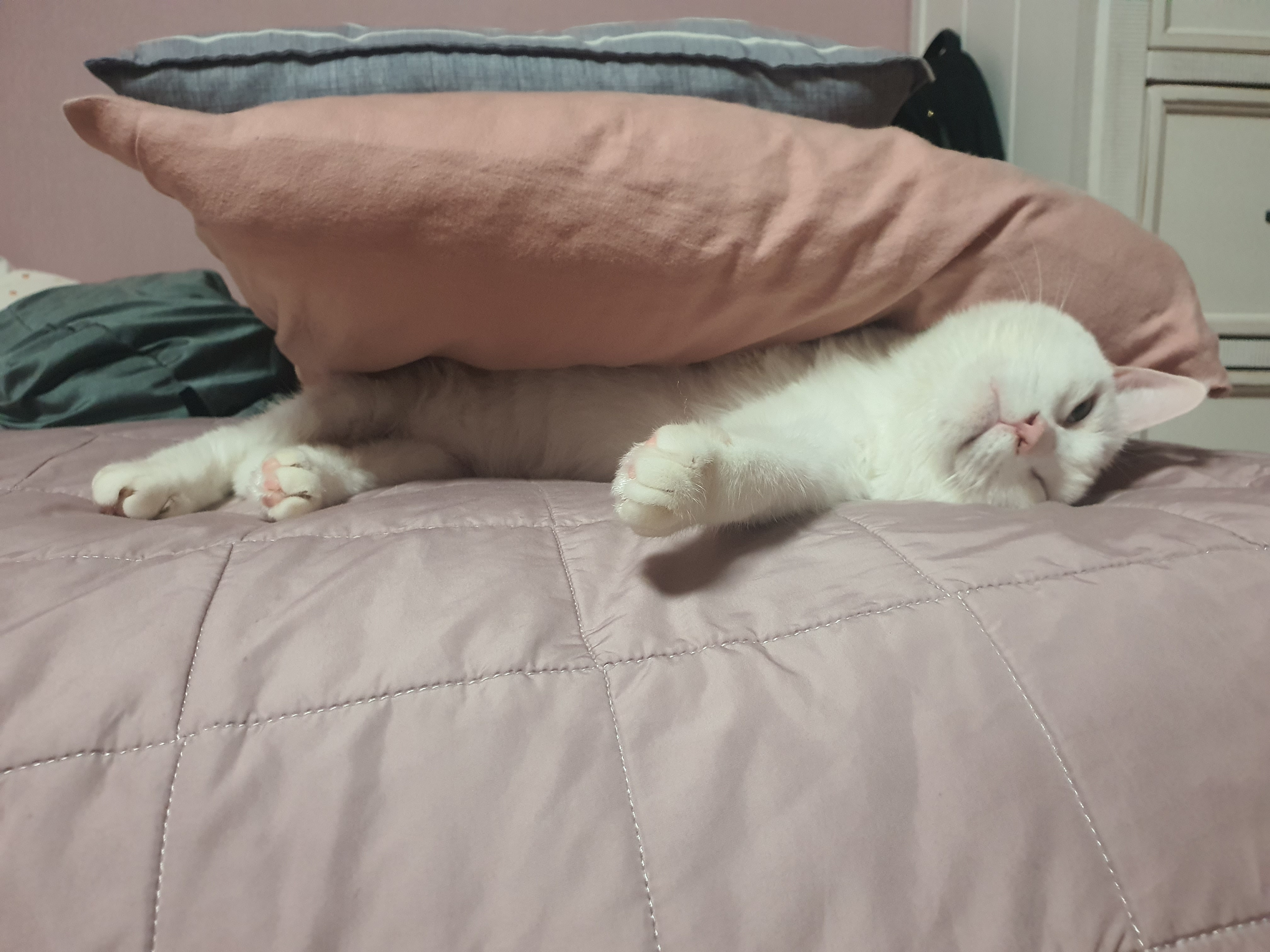 하트 잘 지내요^^