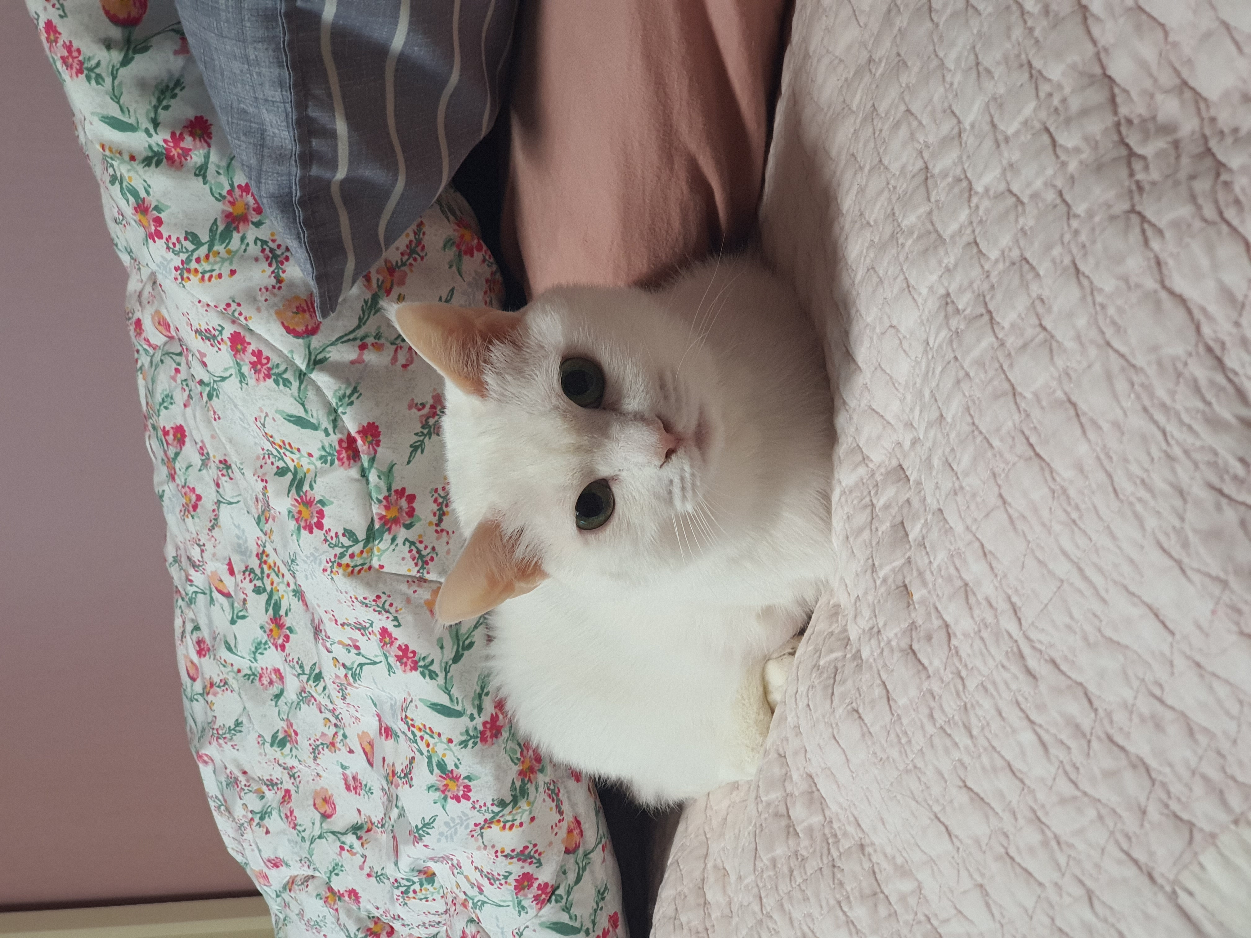 하트 잘 지내요^^