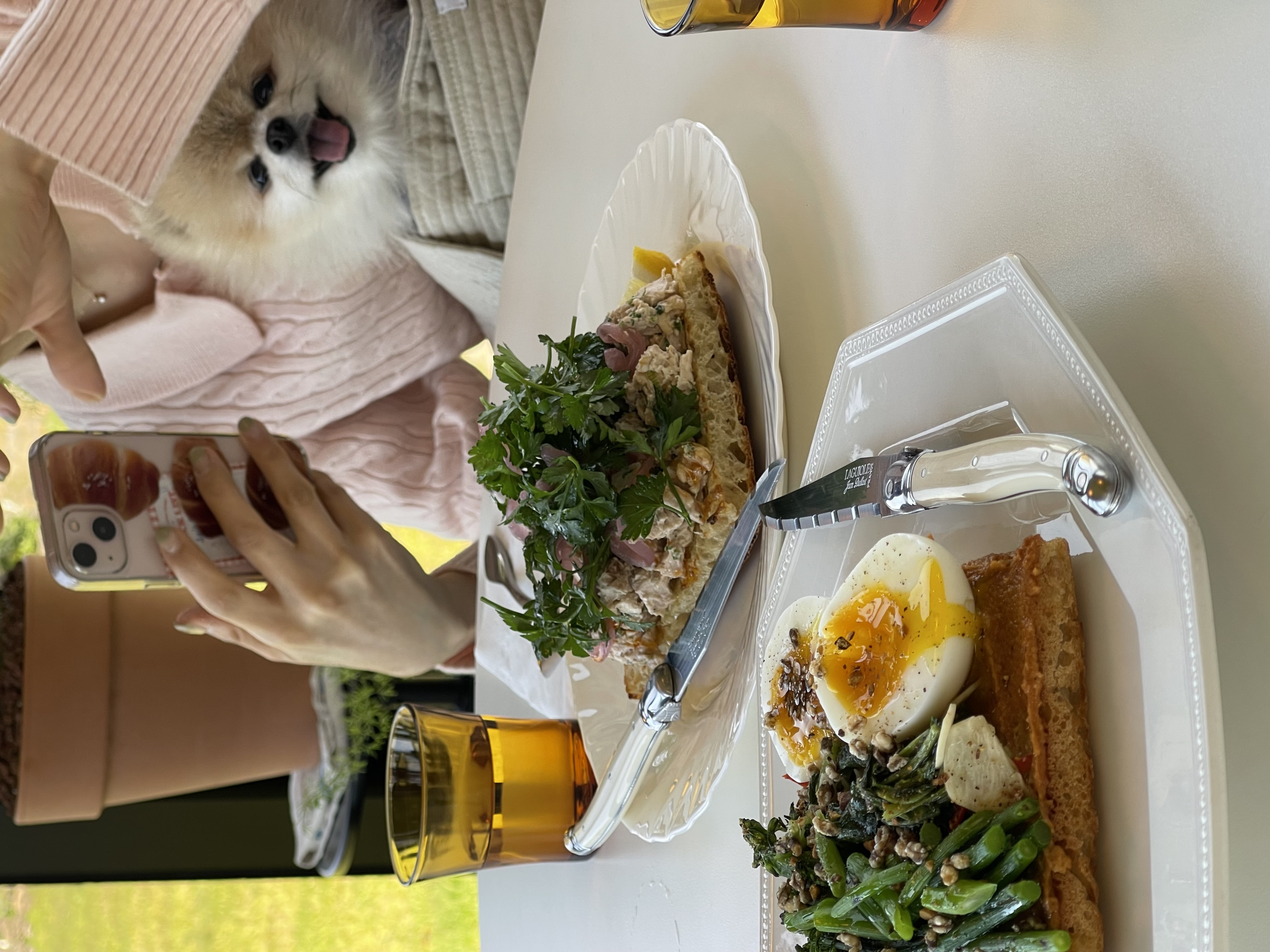 치콘 & 빵 이야기 (입양 7년, 6년)