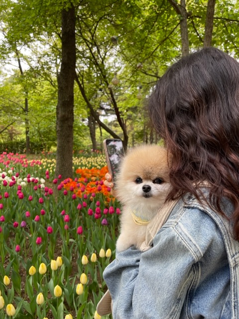 치콘 & 빵 이야기 (입양 7년, 6년)
