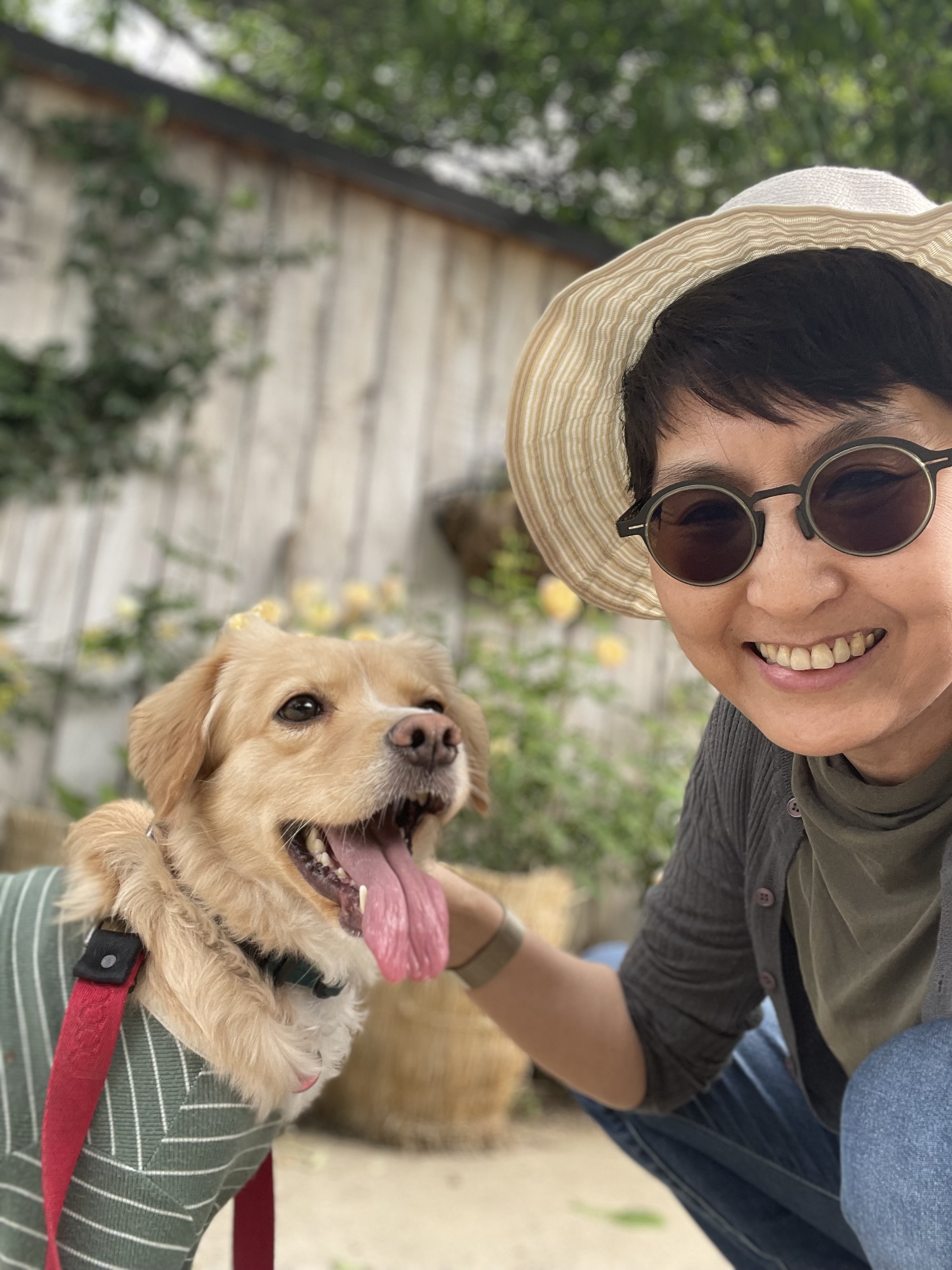 루시 (삼콩)와 지낸 일년